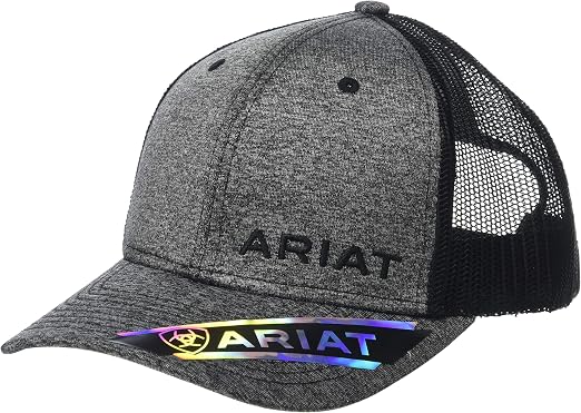 ARIAT Offset Logo Richardson 112 