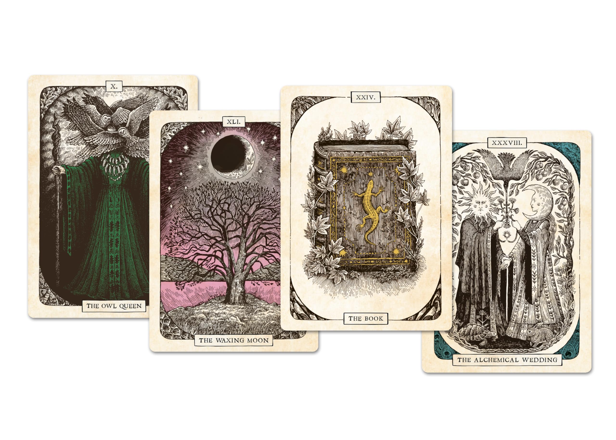 The Black Bird Oracle Deck: A 52-Card Deck and Guidebook