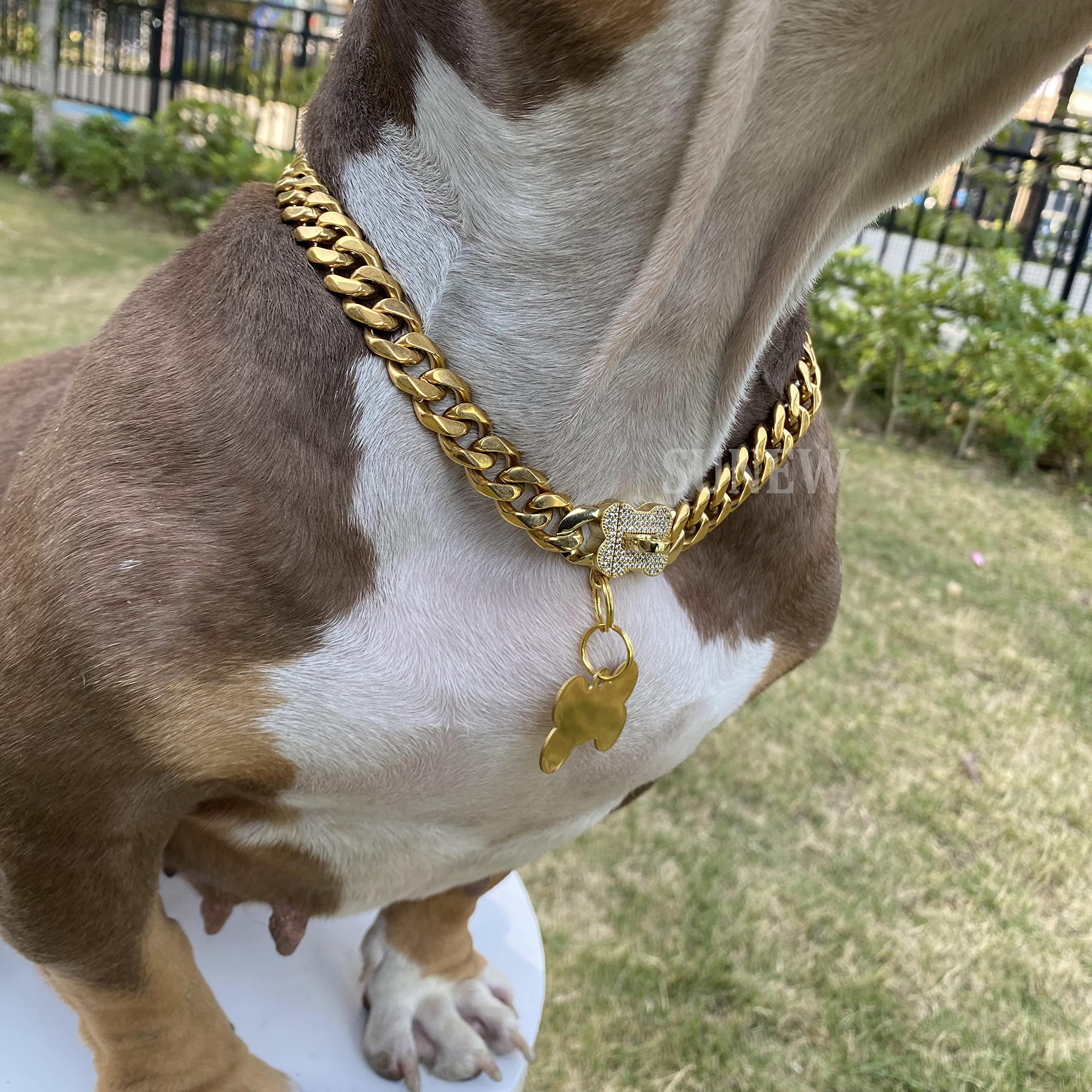 Great Dane Diamond Dogs Dog Collars Diamond Cuban Custom Dog