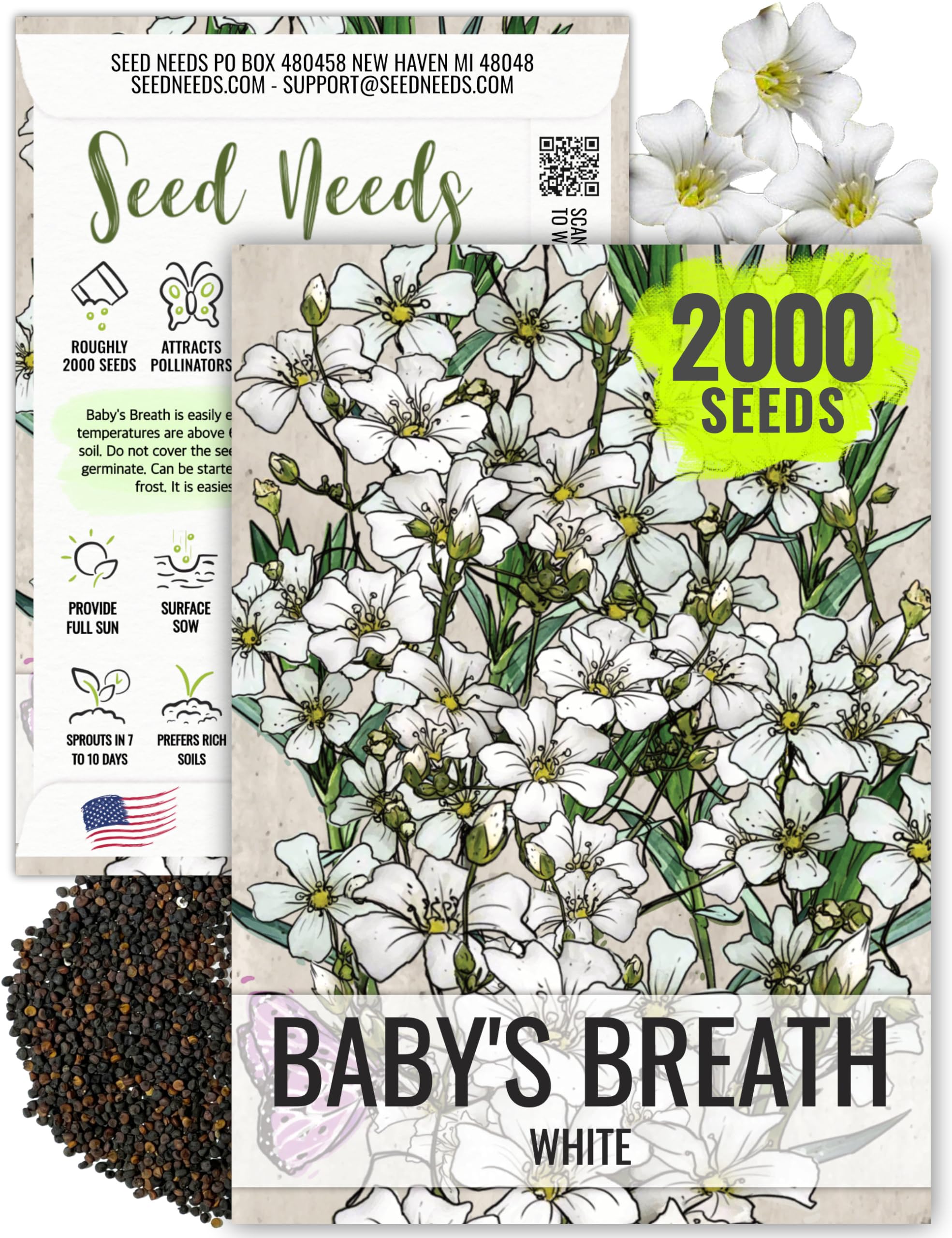 Seed Needs White Baby's Breath Seeds for Planting - Heirloom & Open Pollinated Annual Flowers - Perfect for a Butterfly Garden, Bouquets & Floral Arrangements (1 Pack)