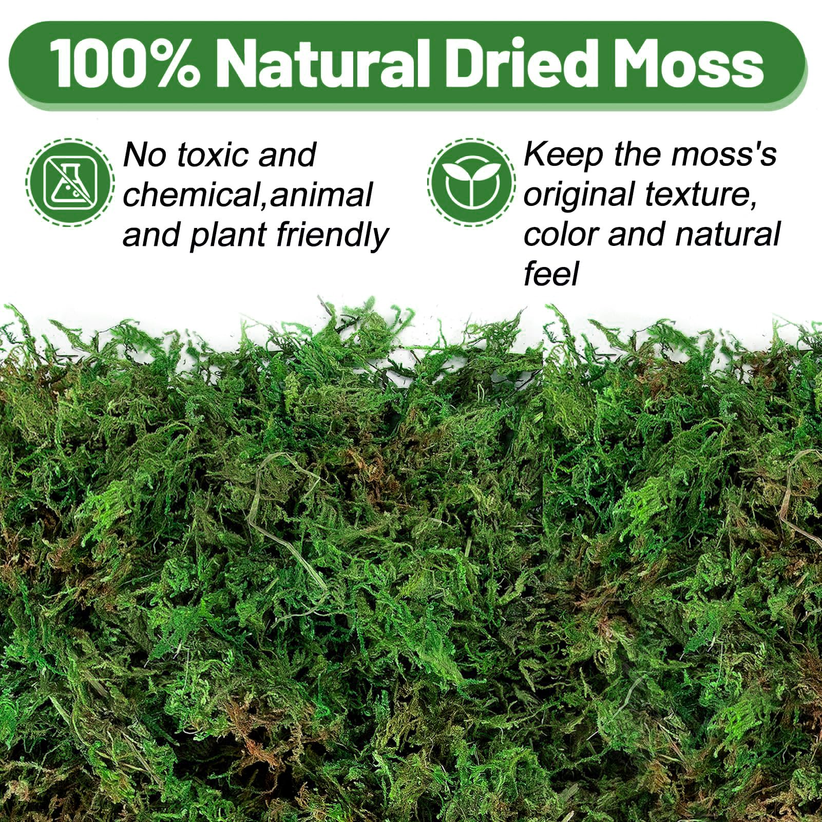 Amazon.com: 35oz Jumbo Pack Natural Green Moss for Plants Indoor