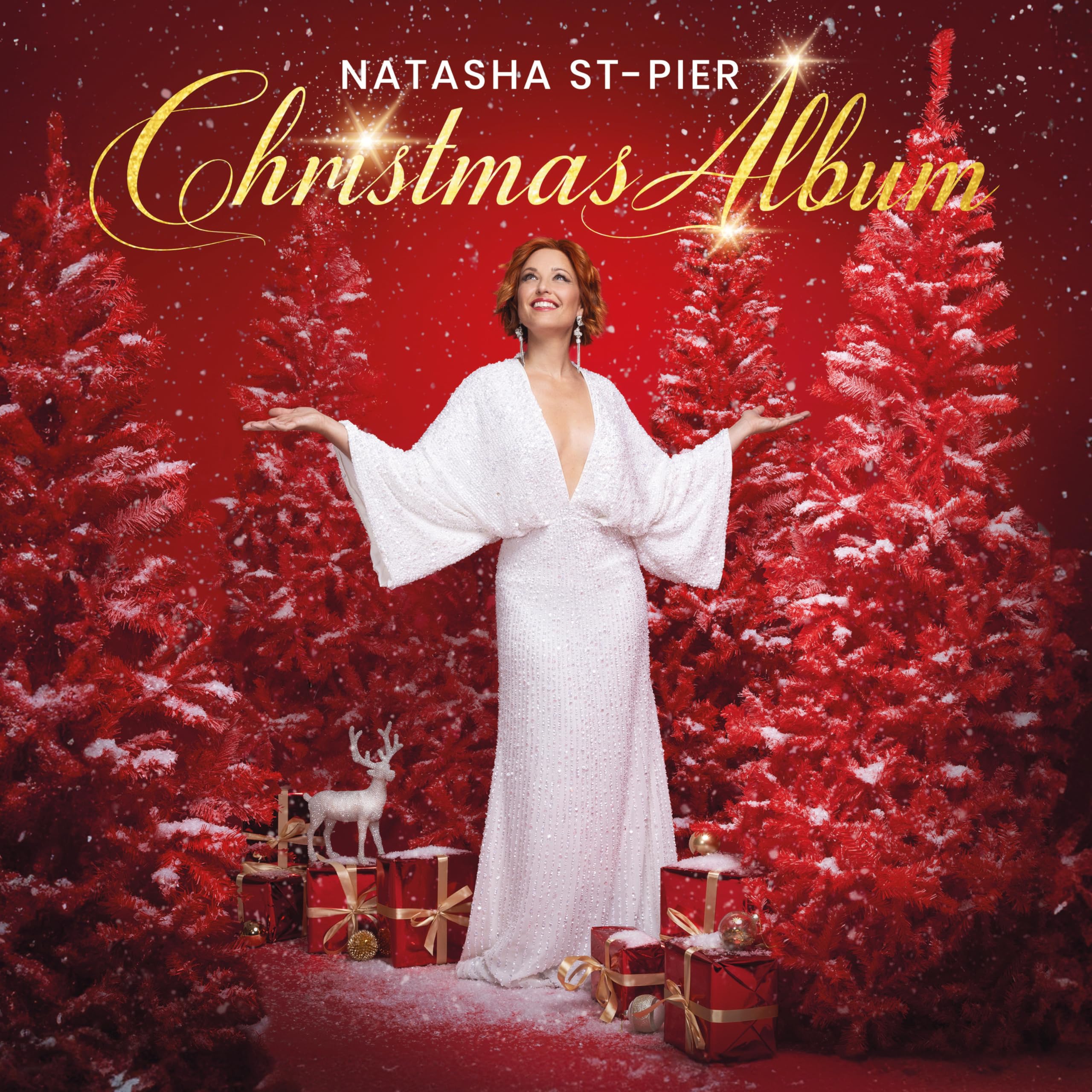 Christmas Album [VINYL]
