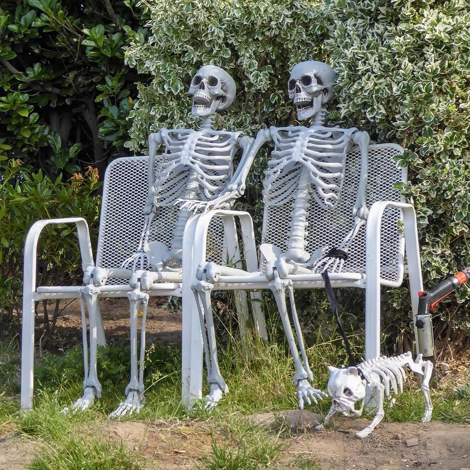 165cm Halloween Esqueleto de plástico Esqueleto Humano de tamaño Natural con Las articulaciones móviles para la decoración de la Fiesta de Halloween, 2 Piezas