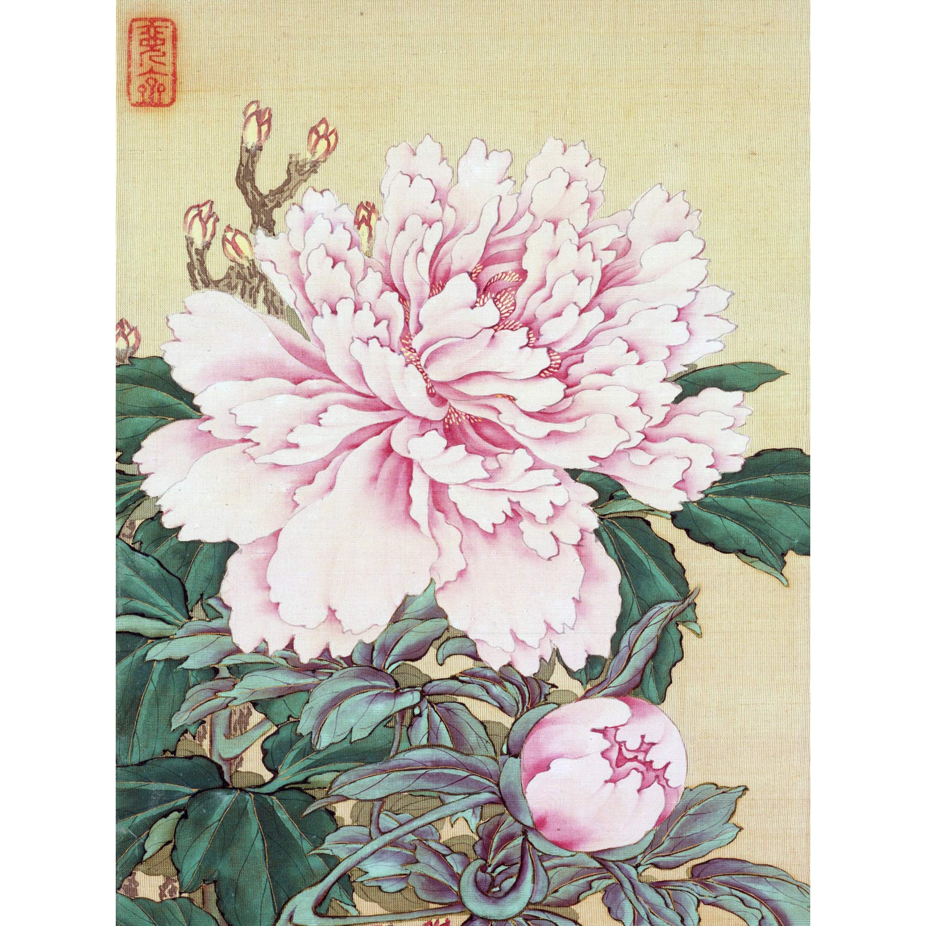 Amazon.com: Artery8 Okamoto Pictures Flowers Birds Japanese