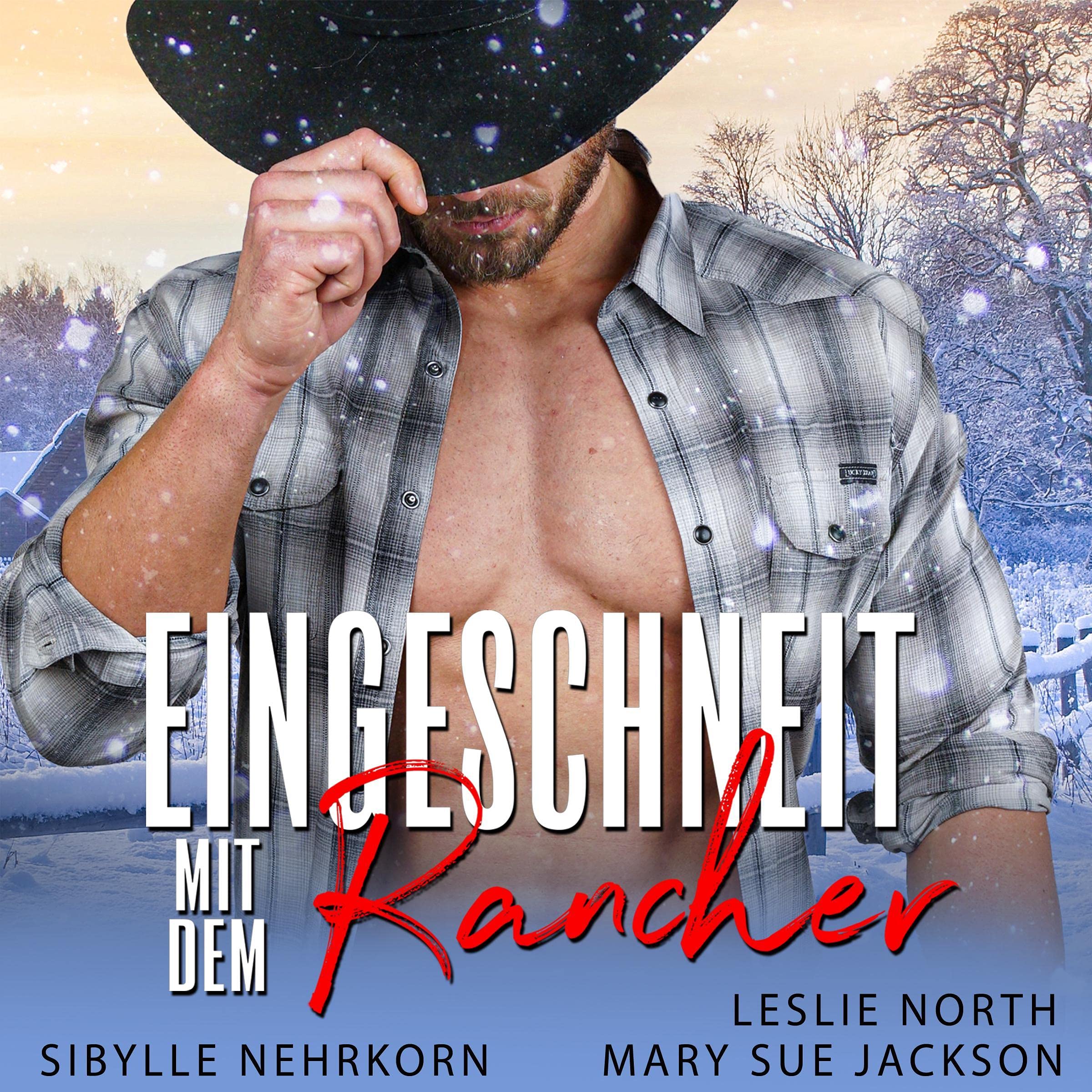 Eingeschneit mit dem Rancher [Snowed in with the Rancher]