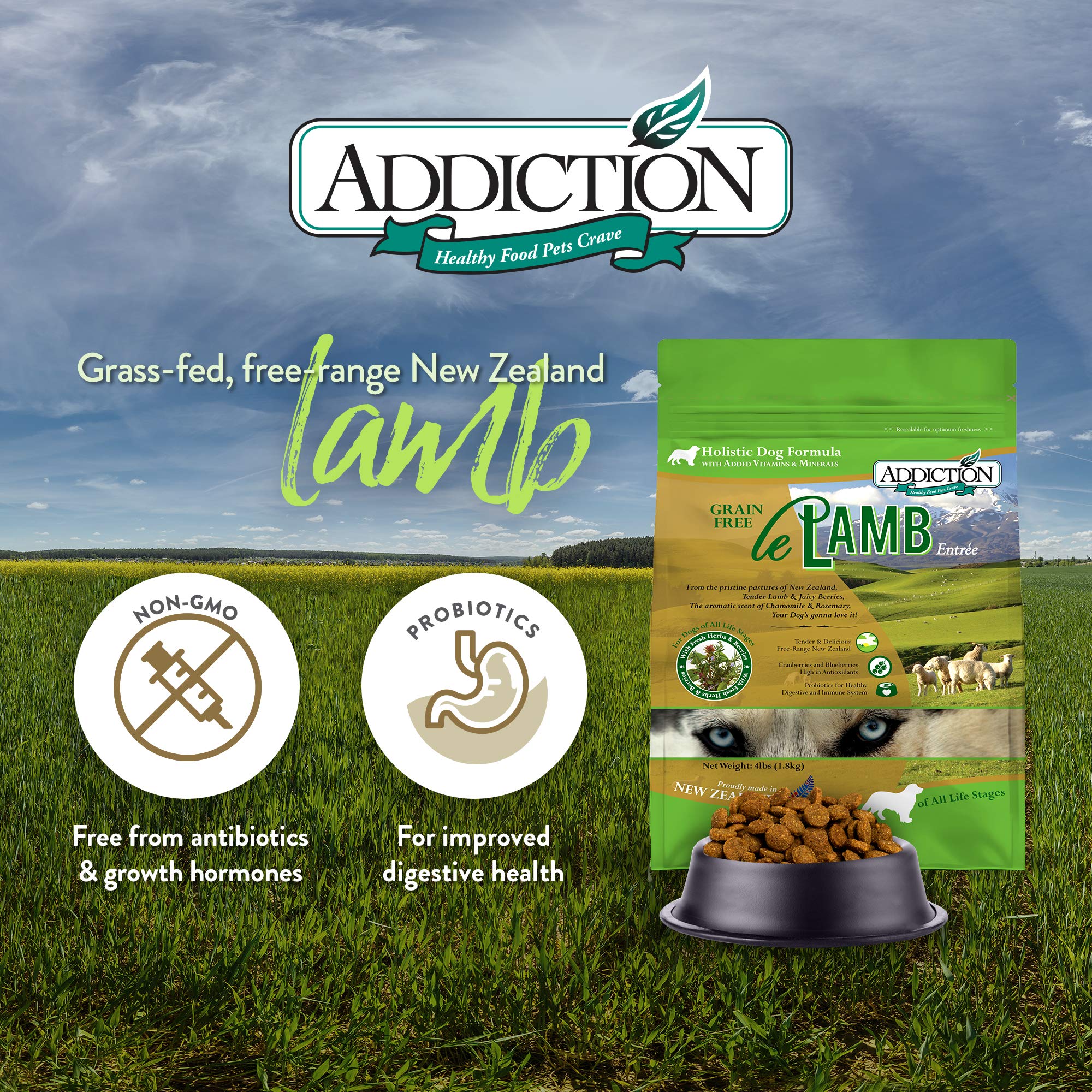 Addiction Le Lamb グレインフリー 15kg 楽天市場】[訳アリ] [アウトレット品] アディクション ル・ラム