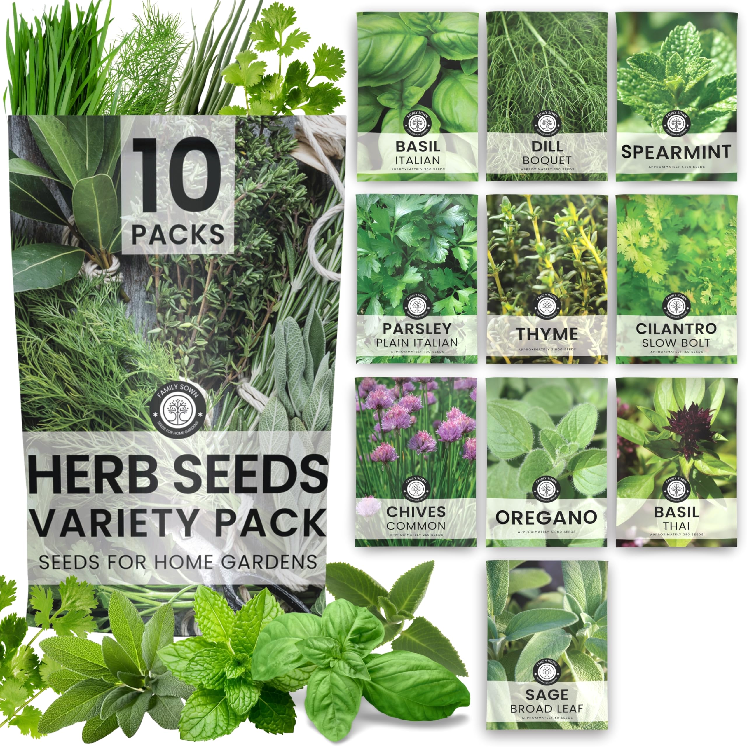 Herb Seeds | 10 Invidiual Packs | 2026 Season | Non-GMO | Mint, Parsley, Basil, Thyme & More! | for Planting Indoor & Outdoor | by Family Sown