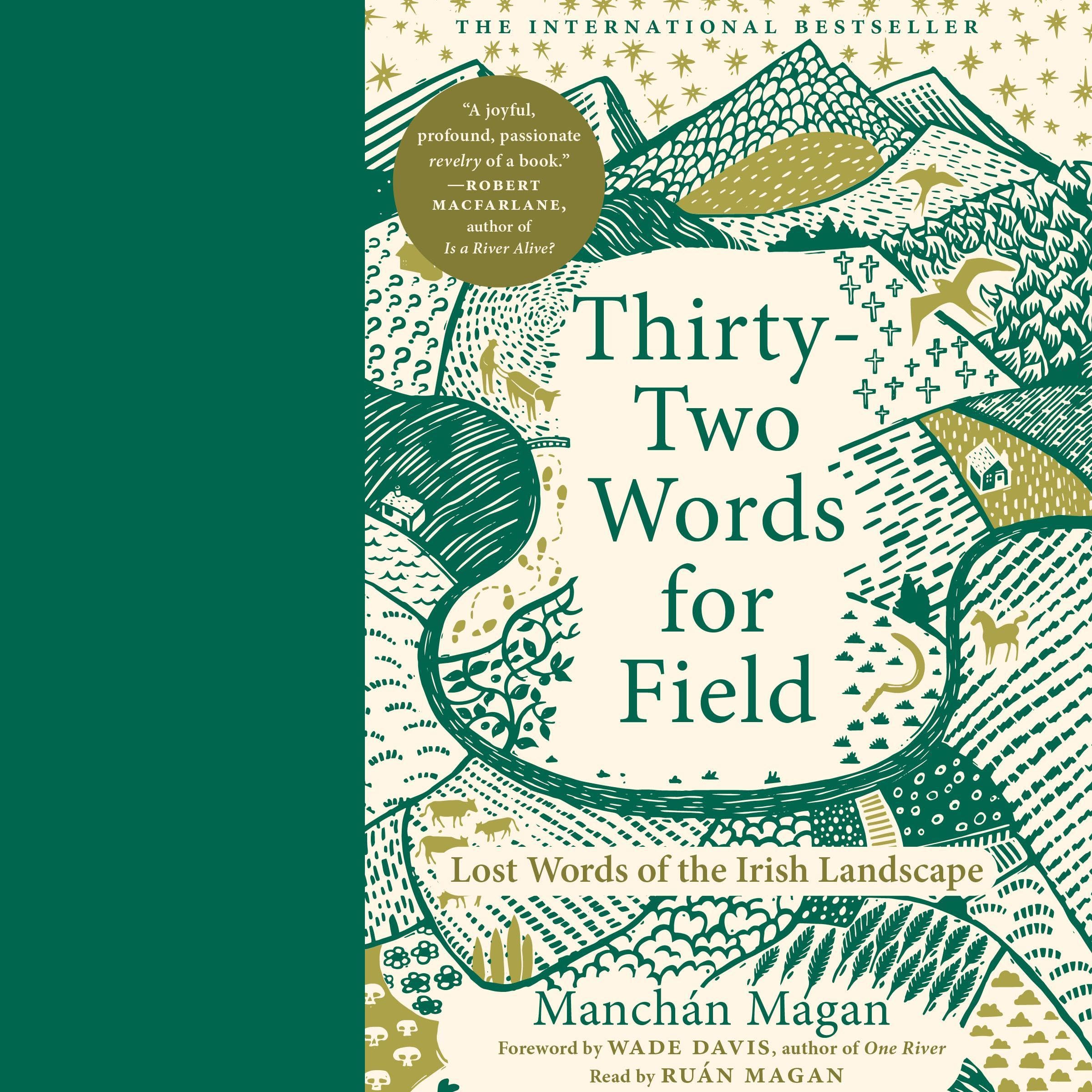 Cover art for Thirty-Two Words for Field