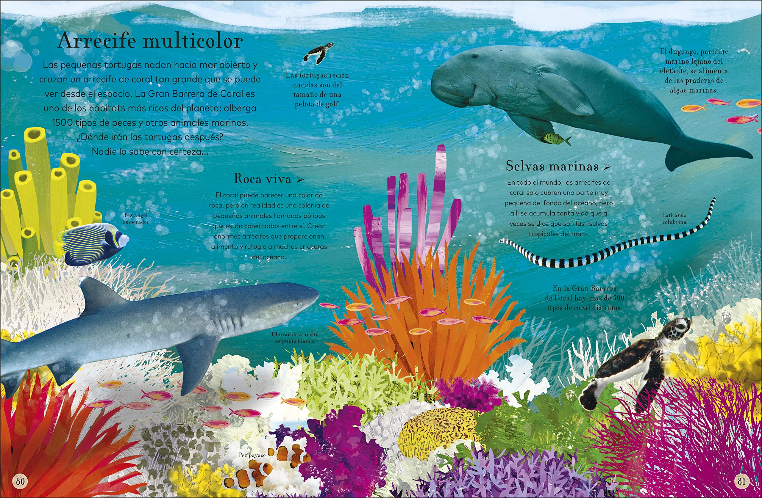 ?Donde viven los animales? (Through the Animal Kingdom): Animales asombrosos y sus extraordinarios habitats (Journey Through) (Spanish Edition) - Image 4