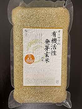 91wF4HIbO2L._AC_UF350,