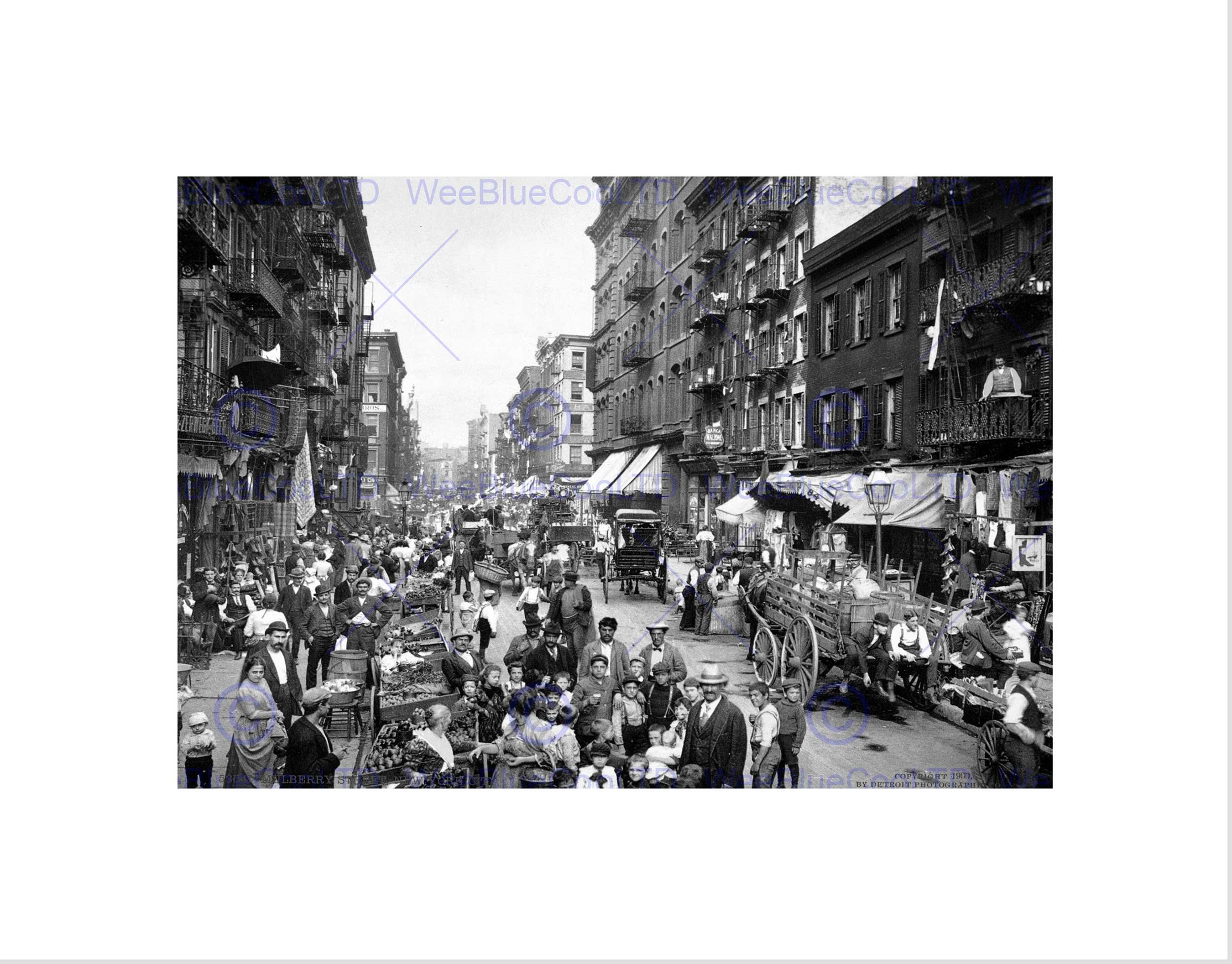 Wee Blue Coo Mulberry Street New York City 1900 Vintage Old BW Wall Art Print
