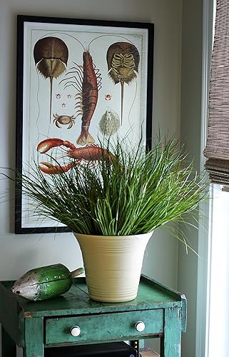 Miniatura 7 de The HC Companies 16 Inch Sedona Round Self Watering Planter - Decorative Lightweight Plastic Plant Pot for Indoor Outdoor Plants Flowers Herbs,