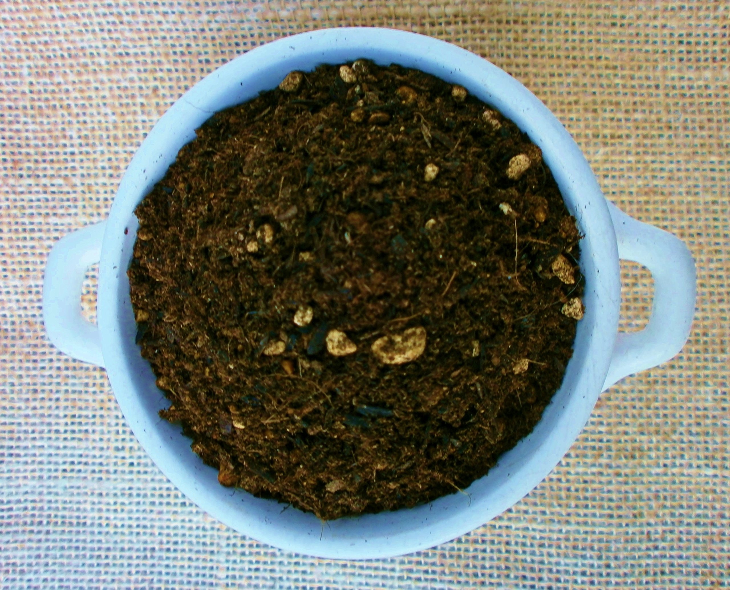 Amazon.co.jp: 瀬戸ヶ原花苑 ブルーベリーの培養土 25L : DIY・工具