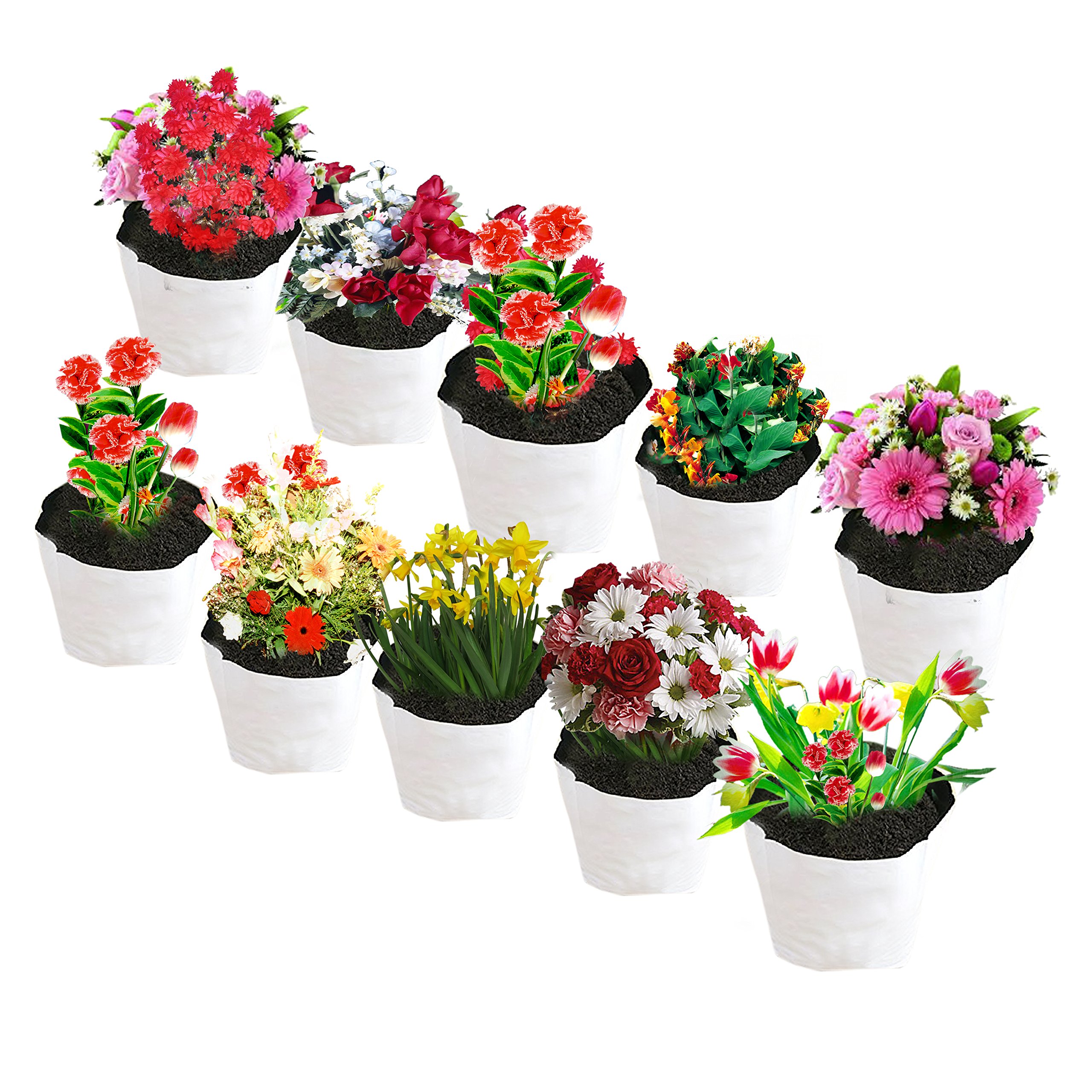 voolex COIRGARDEN POLY GROW BAGS for GARDENING- UV STABILIZED LDPE 100% VIRGIN GROW BAGS - [24cms(L) X24cms(W) X40cms(H)] - PACK of 10 (B07FS2CM3F) Amazon Price History, Amazon Price Tracker