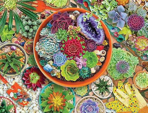 Springbok 's - Rompecabezas de 1000 piezas para jardín suculento, fabricado en Estados Unidos