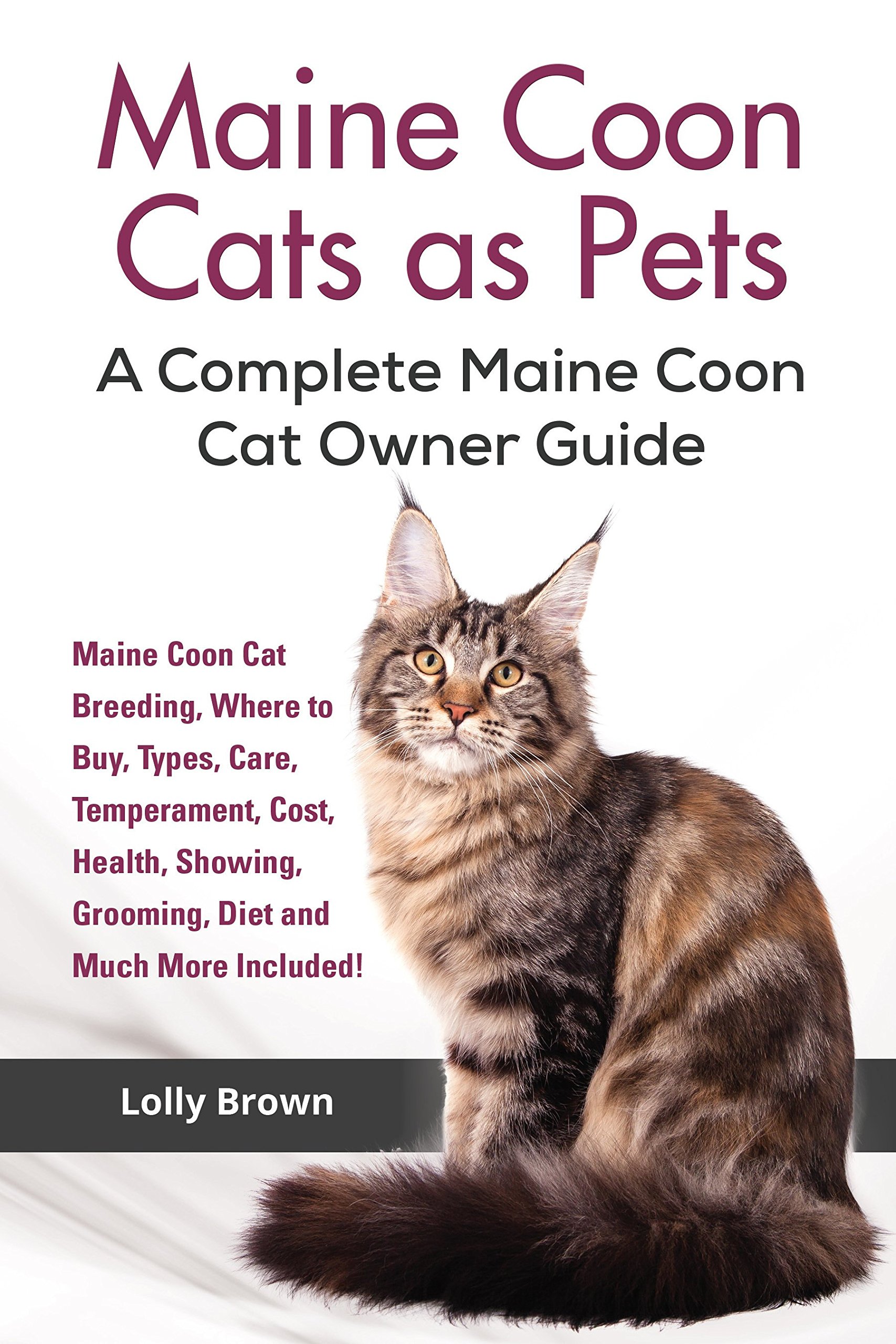 Buy Maine Coon Cats as Pets Maine Coon Cat Breeding, Where to Buy
