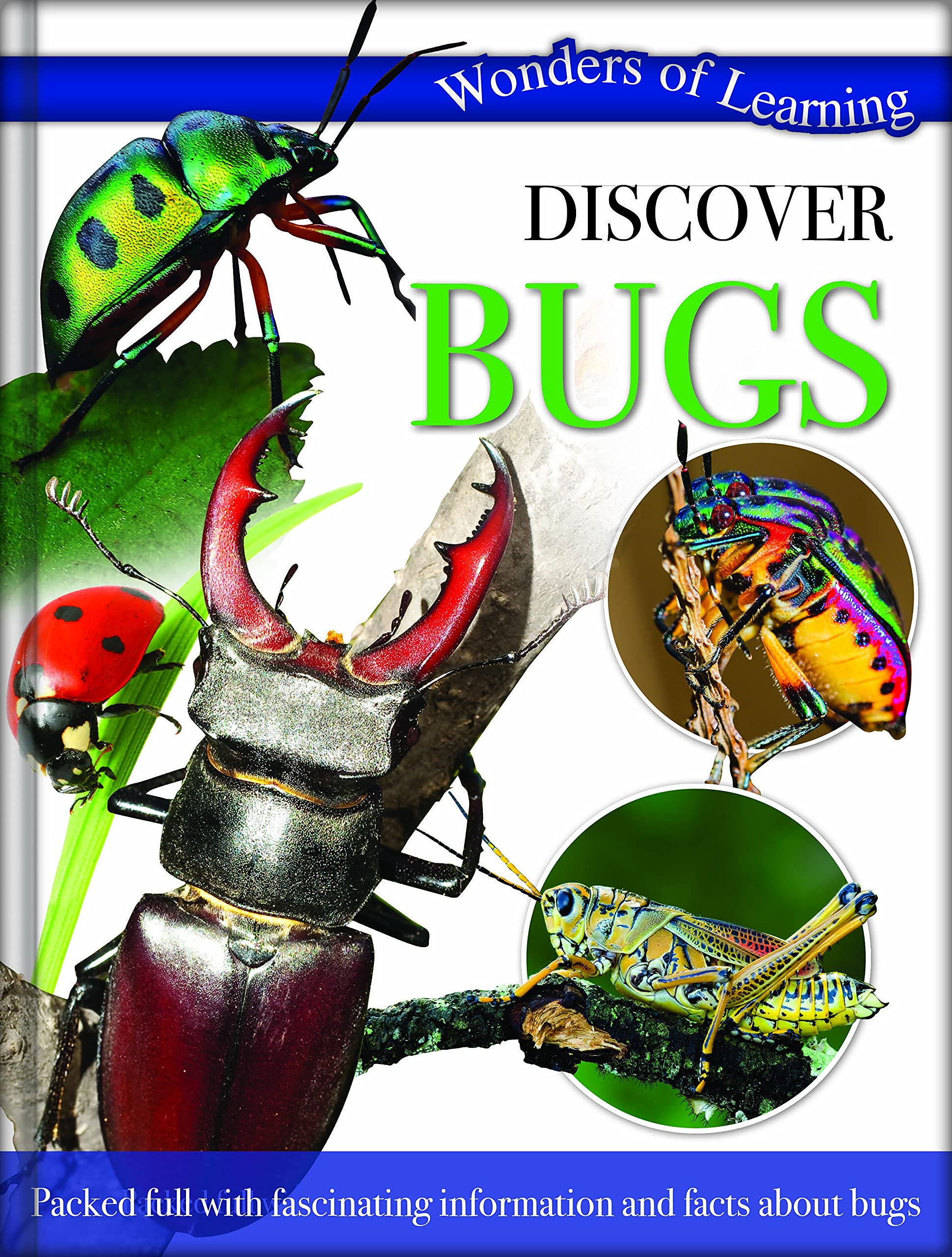 Discover Bugs