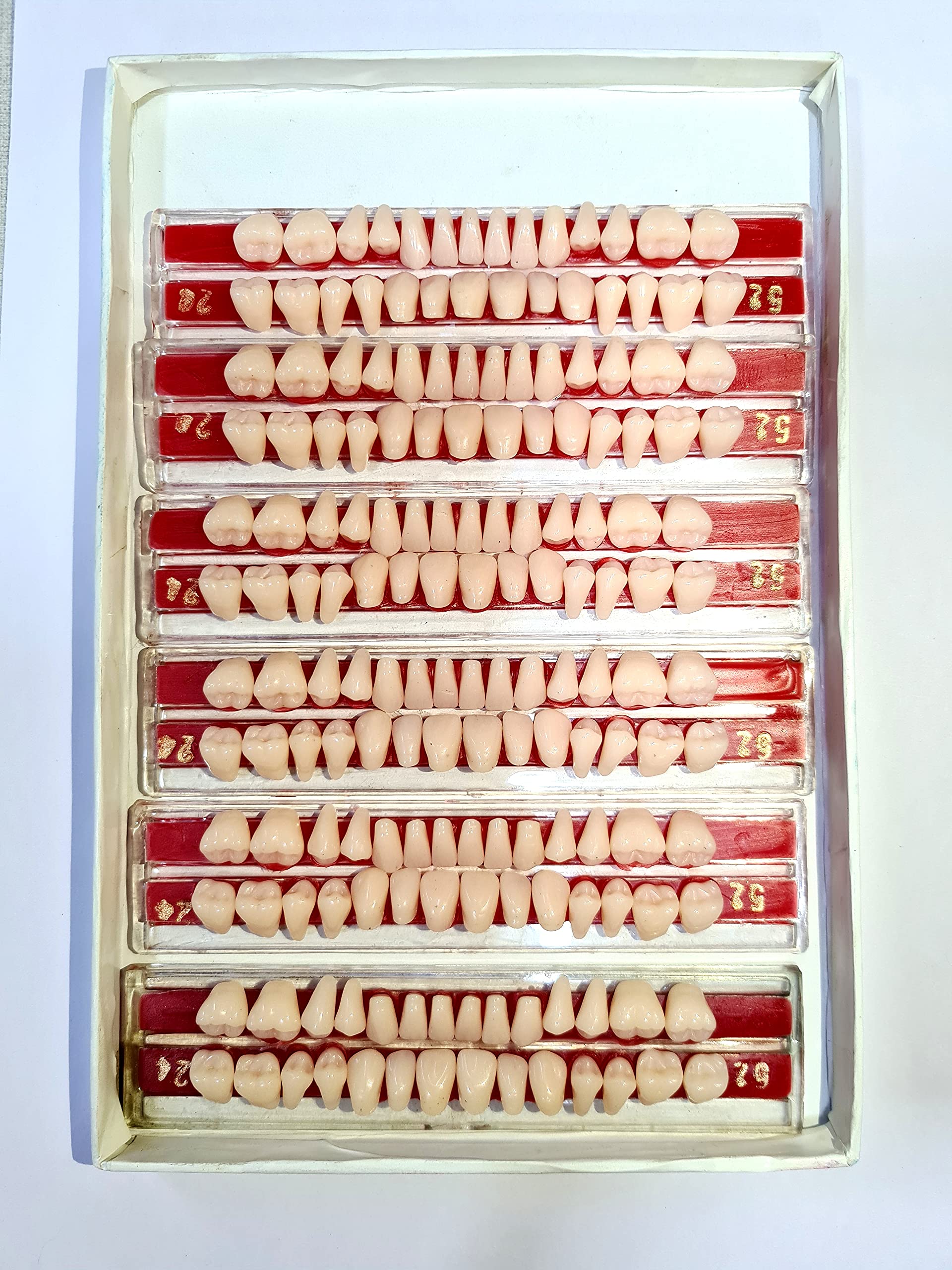 Teeth Set Shade 23 Dental Acrylic Teeth (B09GVYL52C) Amazon Price History, Amazon Price Tracker