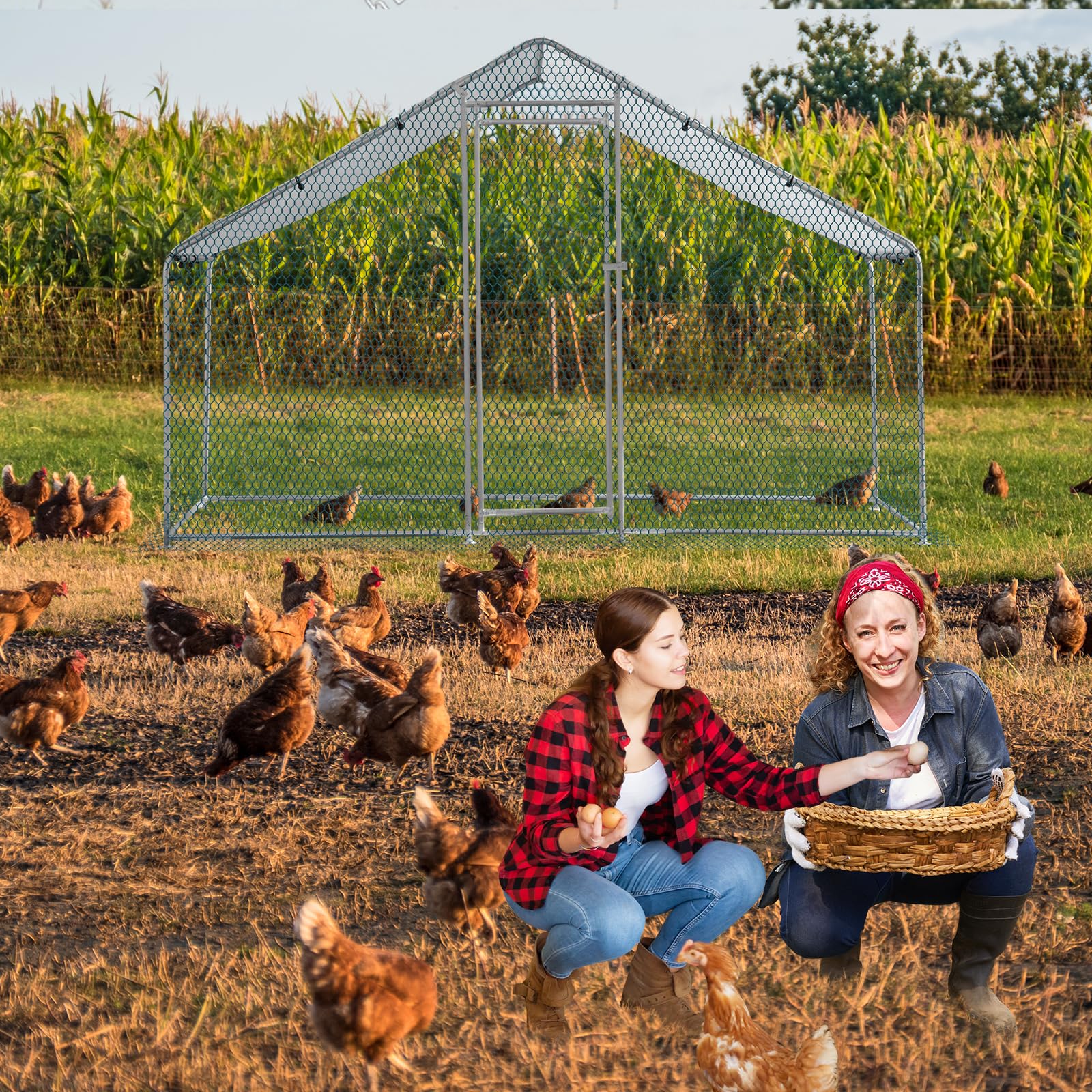 LEADZM Gallinero, 2 x 2 x 2 m, cercado para gallinas, 4 m², gran recinto con polietileno impermeable, de acero galvanizado, techo puntiagudo