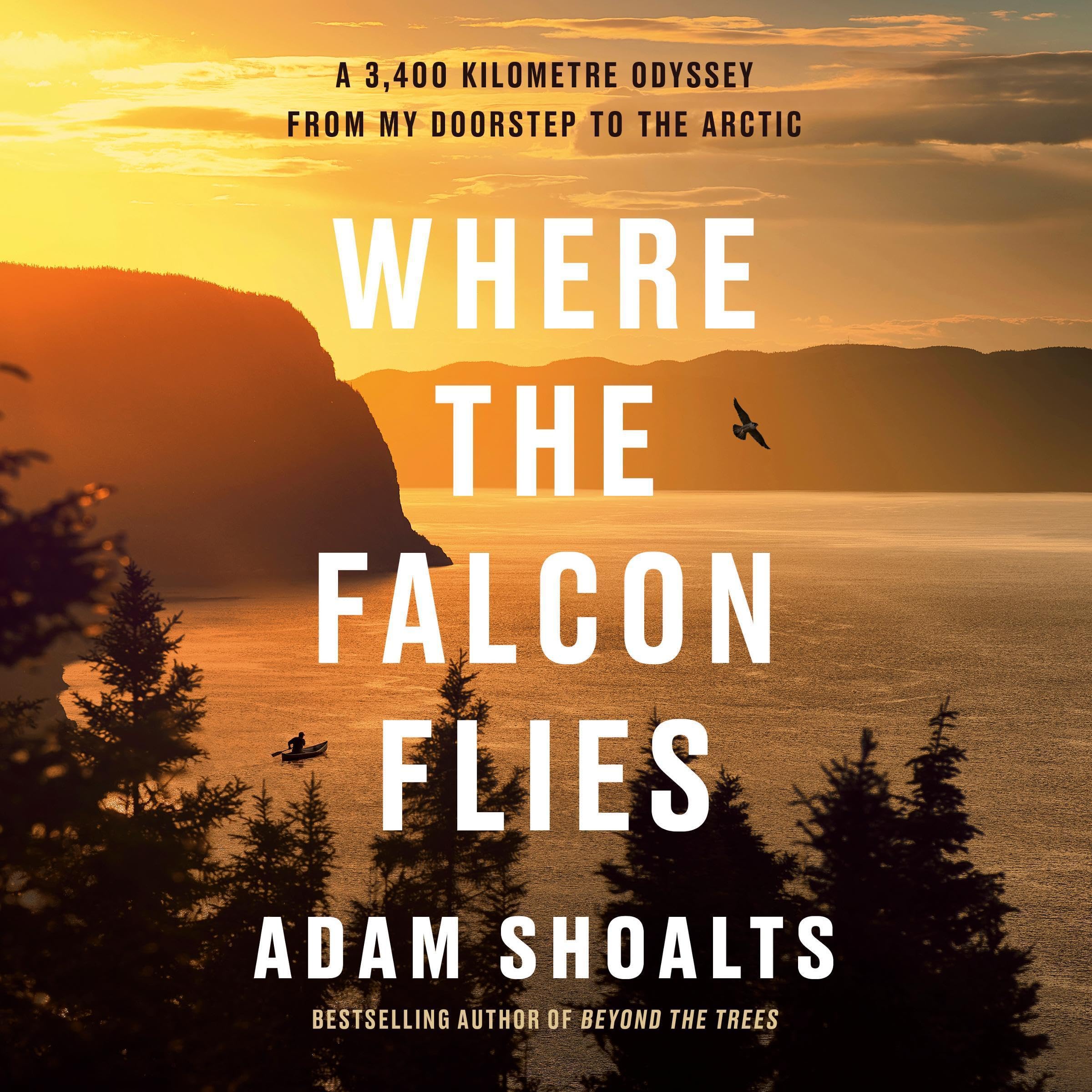 Where the Falcon Flies: A 3,400 Kilometre Odyssey from My Doorstep to the Arctic
