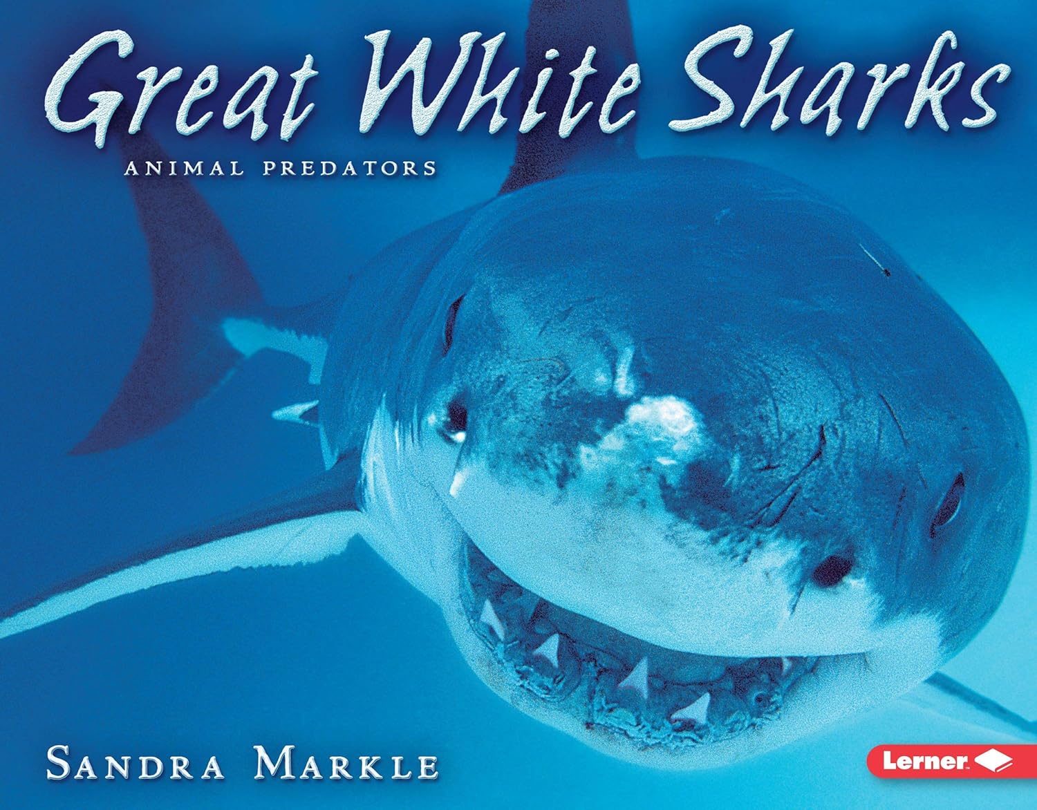 Amazon | Great White Sharks (Animal Predators) | Markle, Sandra | Fish ...
