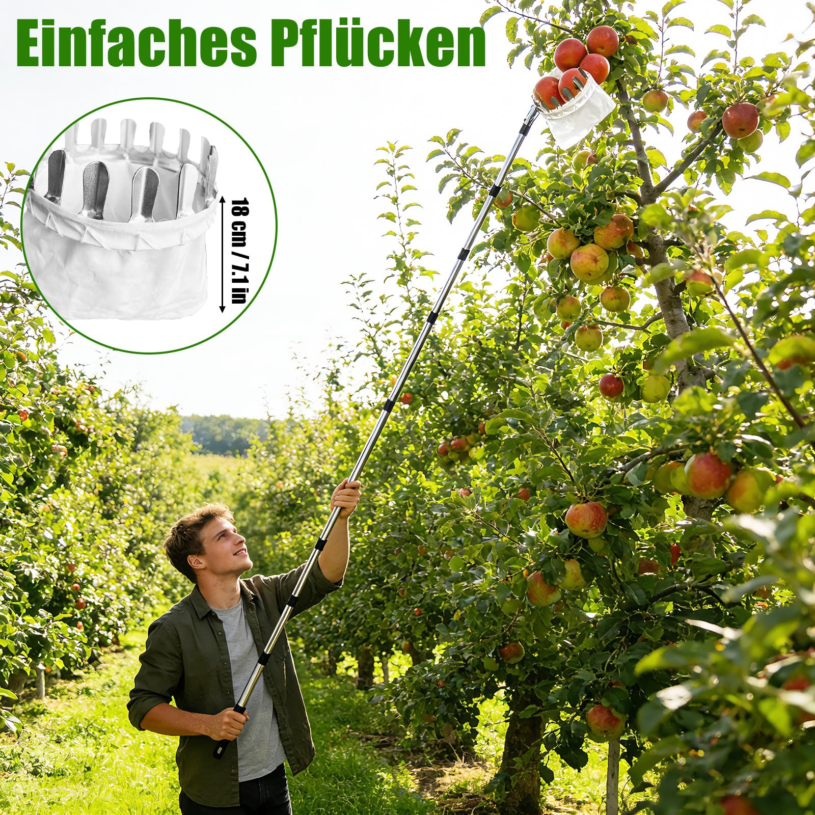 4,2M Obstpflücker mit Teleskopstiel, Apfelpflücker, Kirschenpflücker mit Leichter Edelstahl Teleskoppfahl und Baumwollbeutel, Obstgreifer Einfach zu Montieren, Kirschpflücker, Pflaumenpflücker