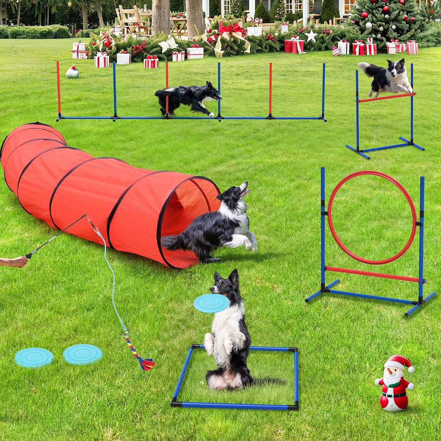 YITAHOME Dog Agility Accessories Kit: Includes Flirt Pole Toy, 2 Hurdles, 3 Frisbees, 6 Weaving Poles, 1 Agility Tunnel, Pause Box, Full Set of Agility Equipment for Backyard Outdoor