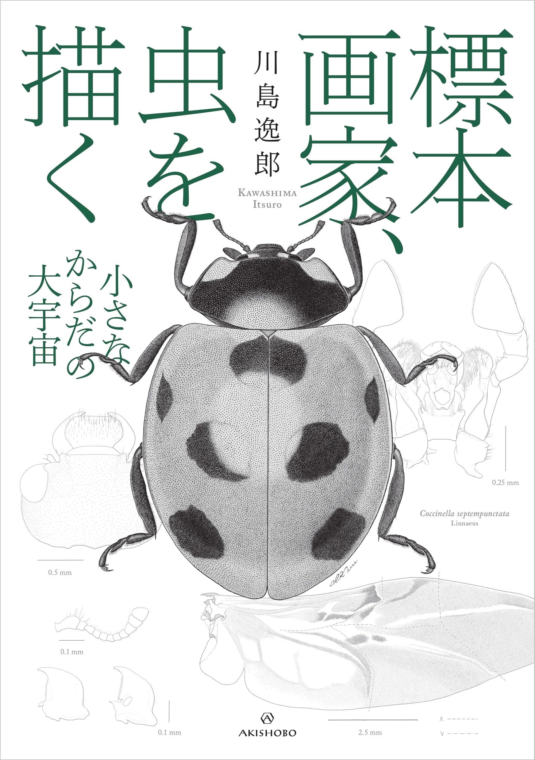 標本画家、虫を描く──小さなからだの大宇宙 | 川島 逸郎 |本 | 通販