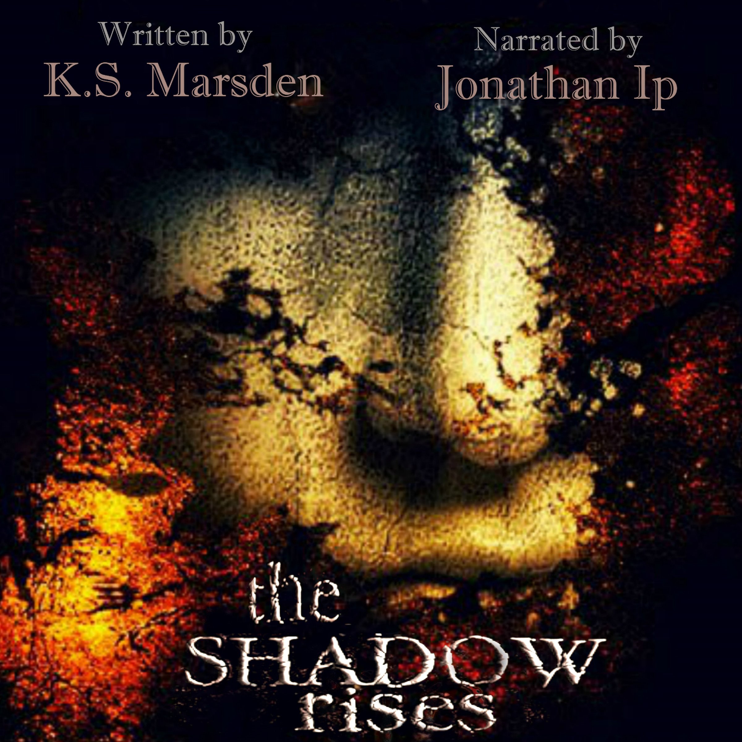 Cover art for The Shadow Rises: Witch-Hunter, Book 1