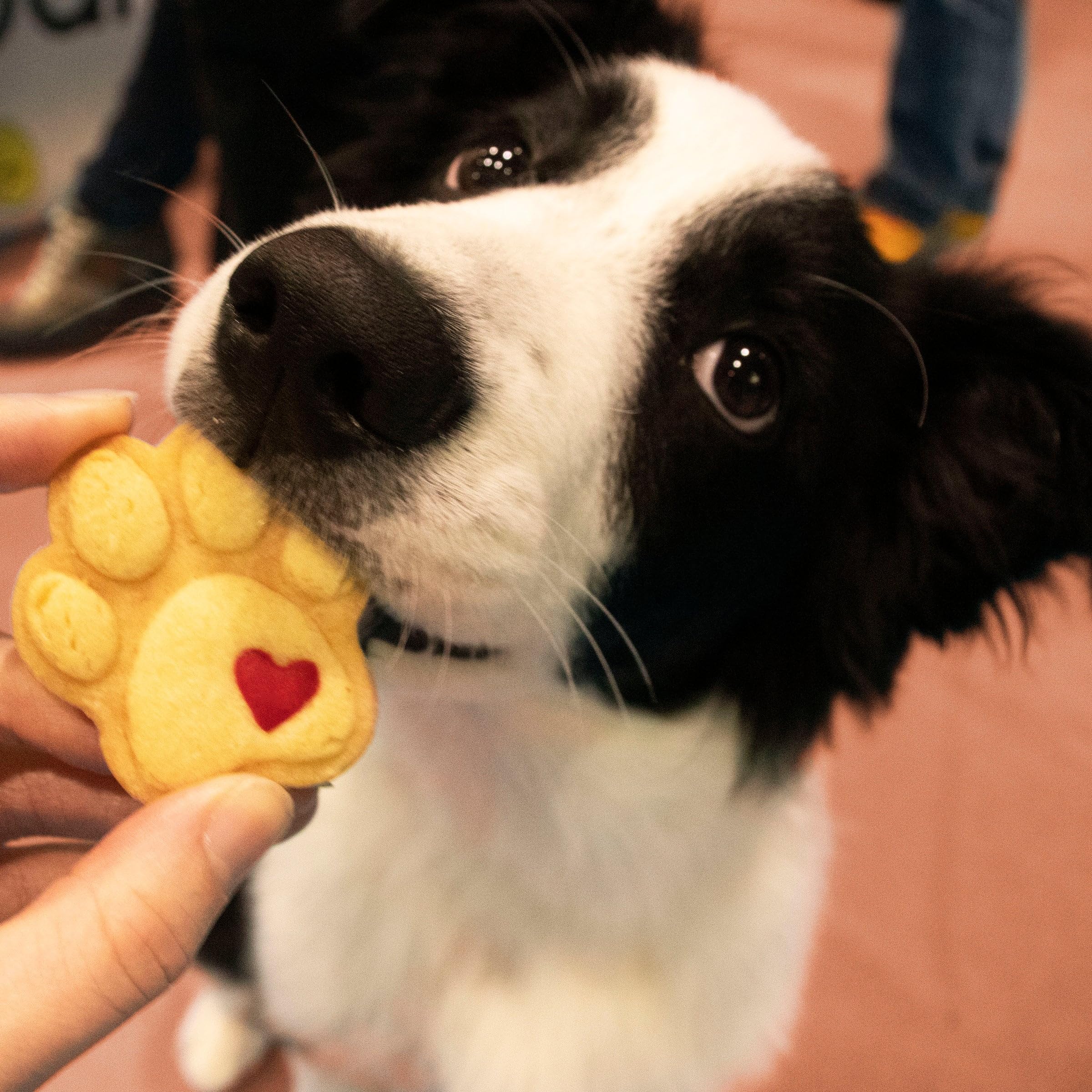 Cortador de Galletas con diseño de Patas, pequeño, 1 Pieza
