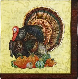 Iconikal Disposable Paper Thanksgiving Party Napkins, Harvest Turkey, Beverage Cocktail Dessert Size, 80-Count