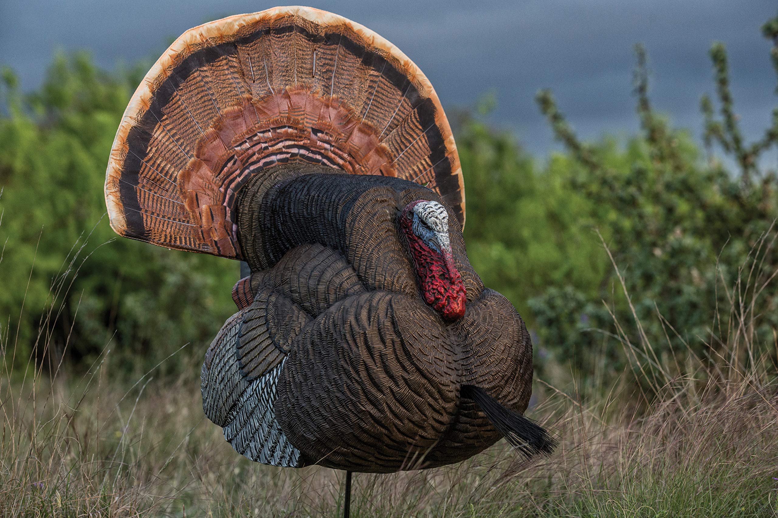 Flambeau Outdoors Outdoor 700KS King Strutter-Señuelo de Pavo