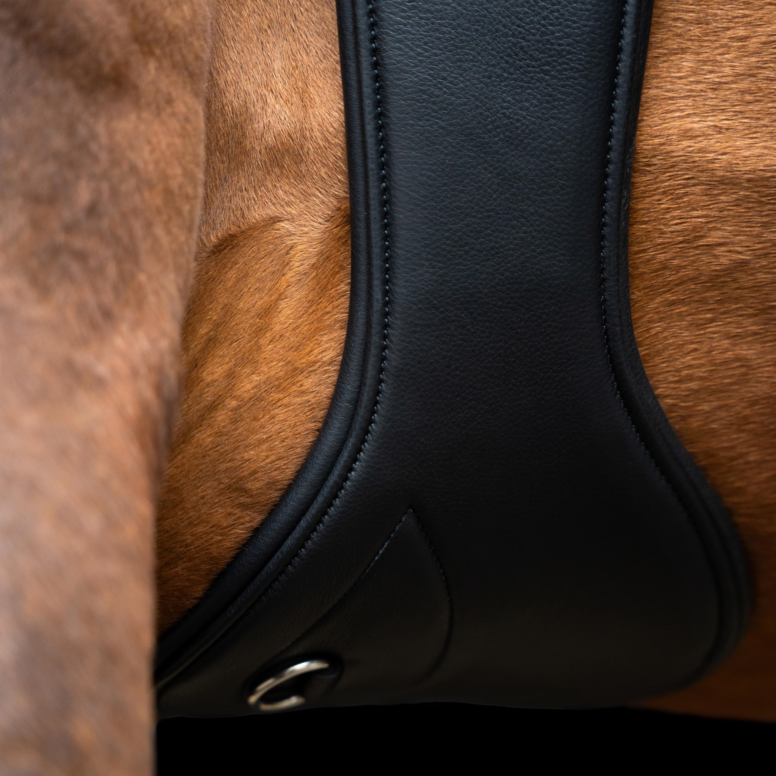 Imperial Riding Springgurt IRH anatomisch, Stollengurt mit Bauchlatz, Rollenschnallen und D-Ring, Schwarz, 145cm