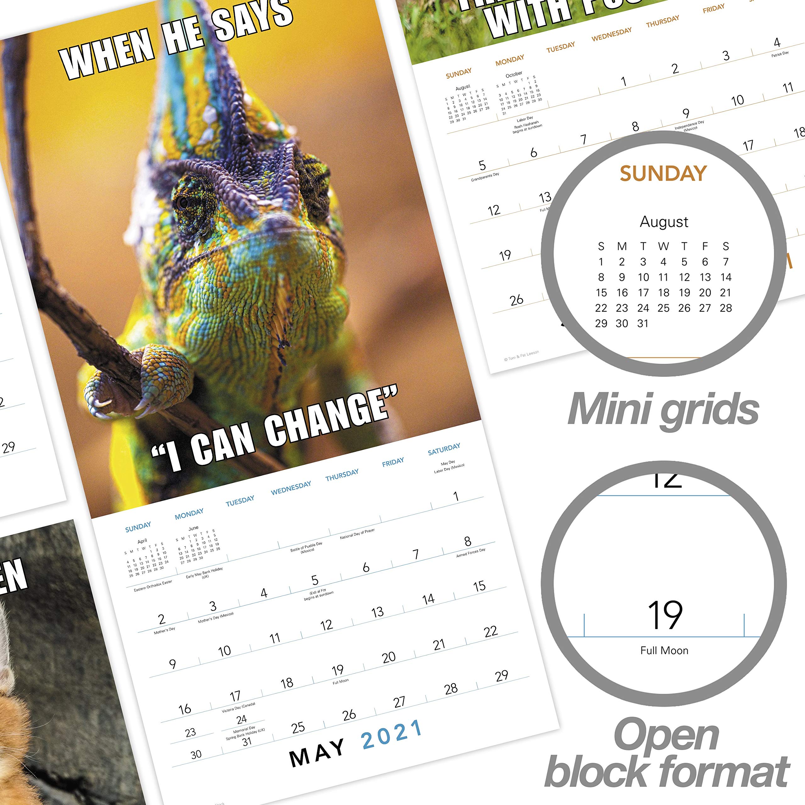 Official Studio Pets Puppies 2021 Wall Calendar 11.8 X 11.8 Inches