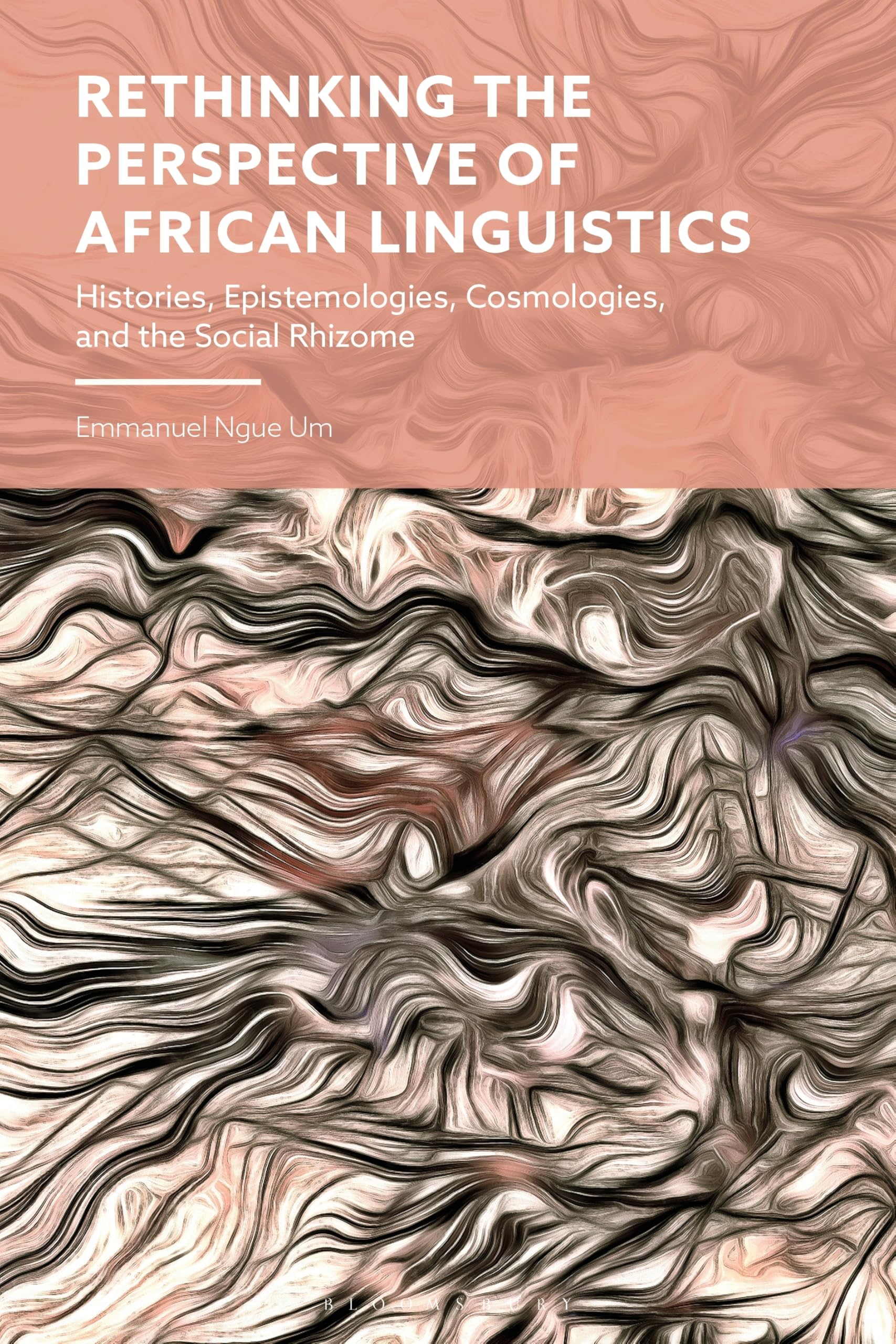 Rethinking the Perspective of African Linguistics: Histories, Epistemologies, Cosmologies, and the Social Rhizome