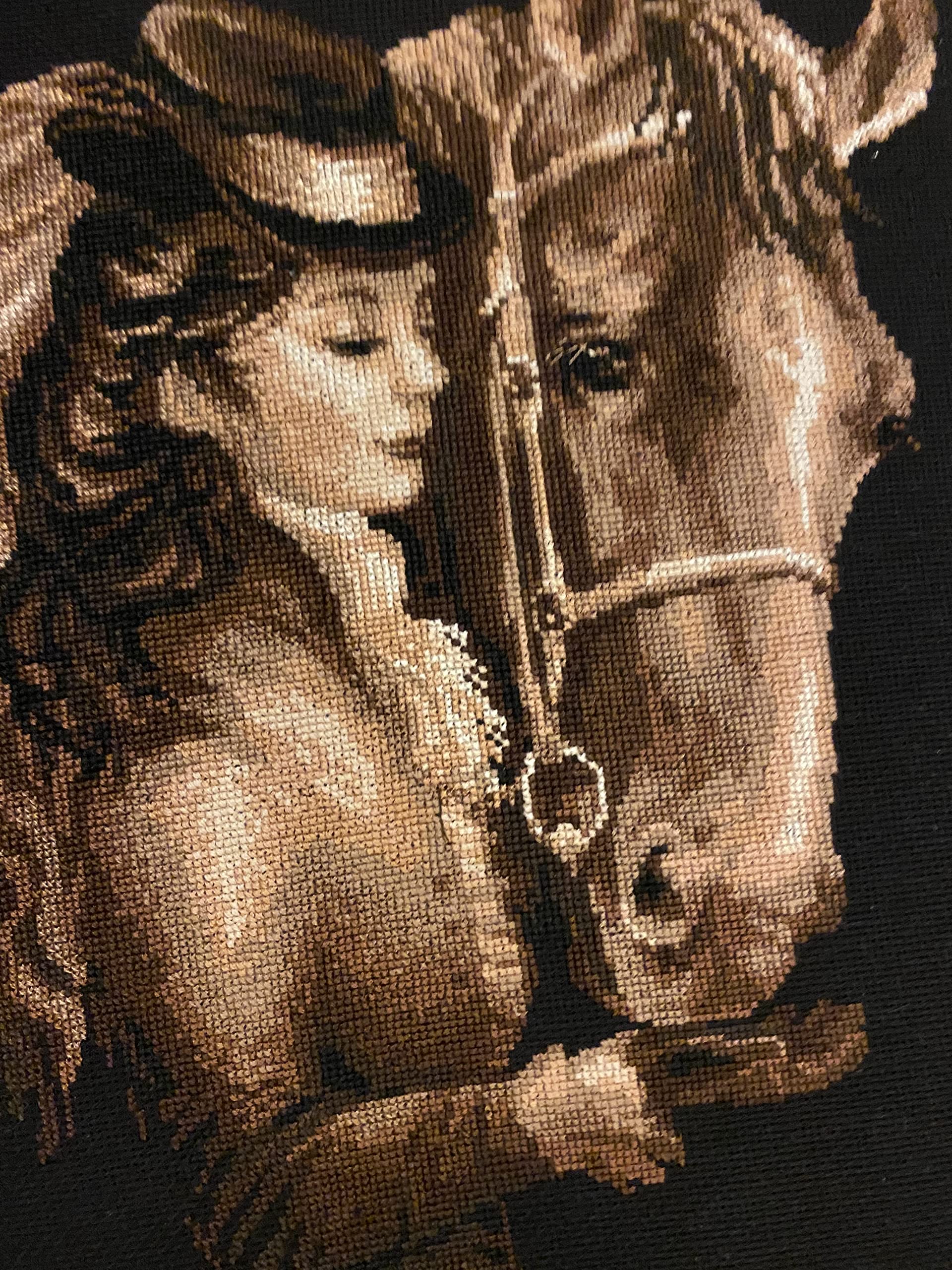 Riolis Kit de Punto de Cruz. La Amazona