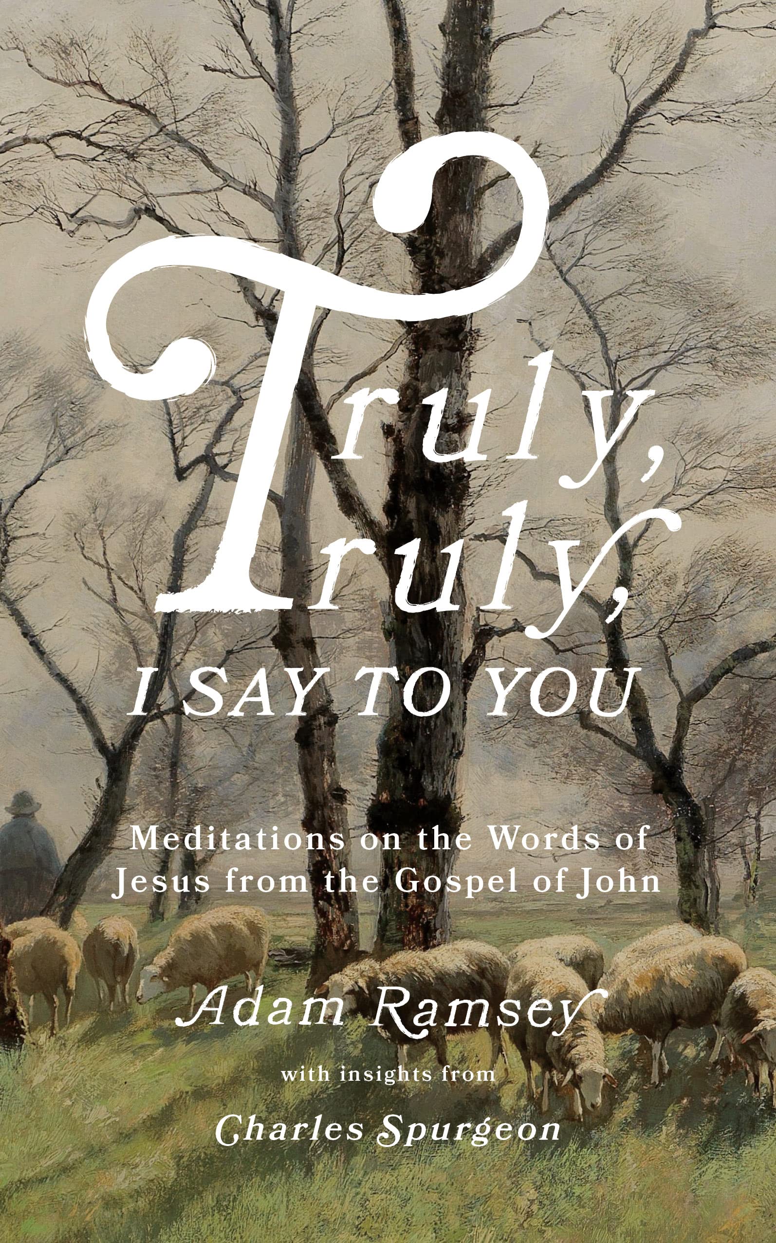 Truly, truly, I say to you: Meditations on the Words of Jesus from the Gospel of John (40 devotions for Lent / Lenten devotional / Time with Jesus every day)