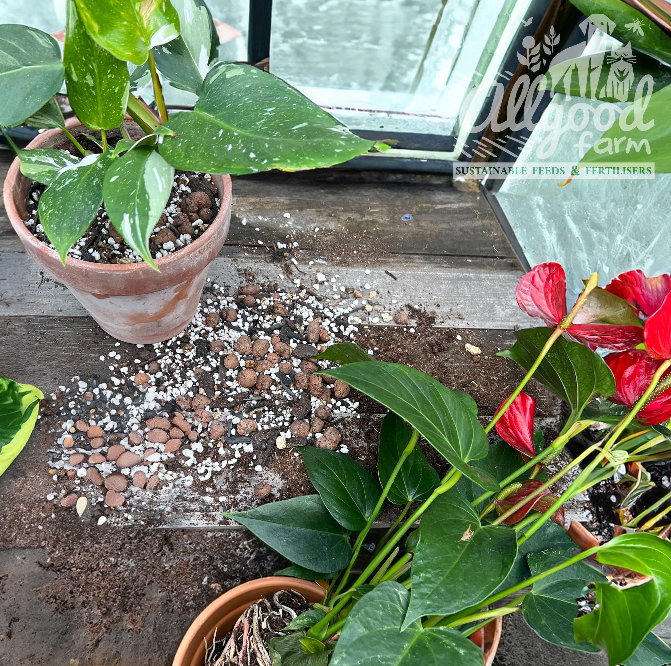 Allgood Farm Philodendron & Anthurium Soil  Expert Potting Mix (5 Litres)  - BigaMart