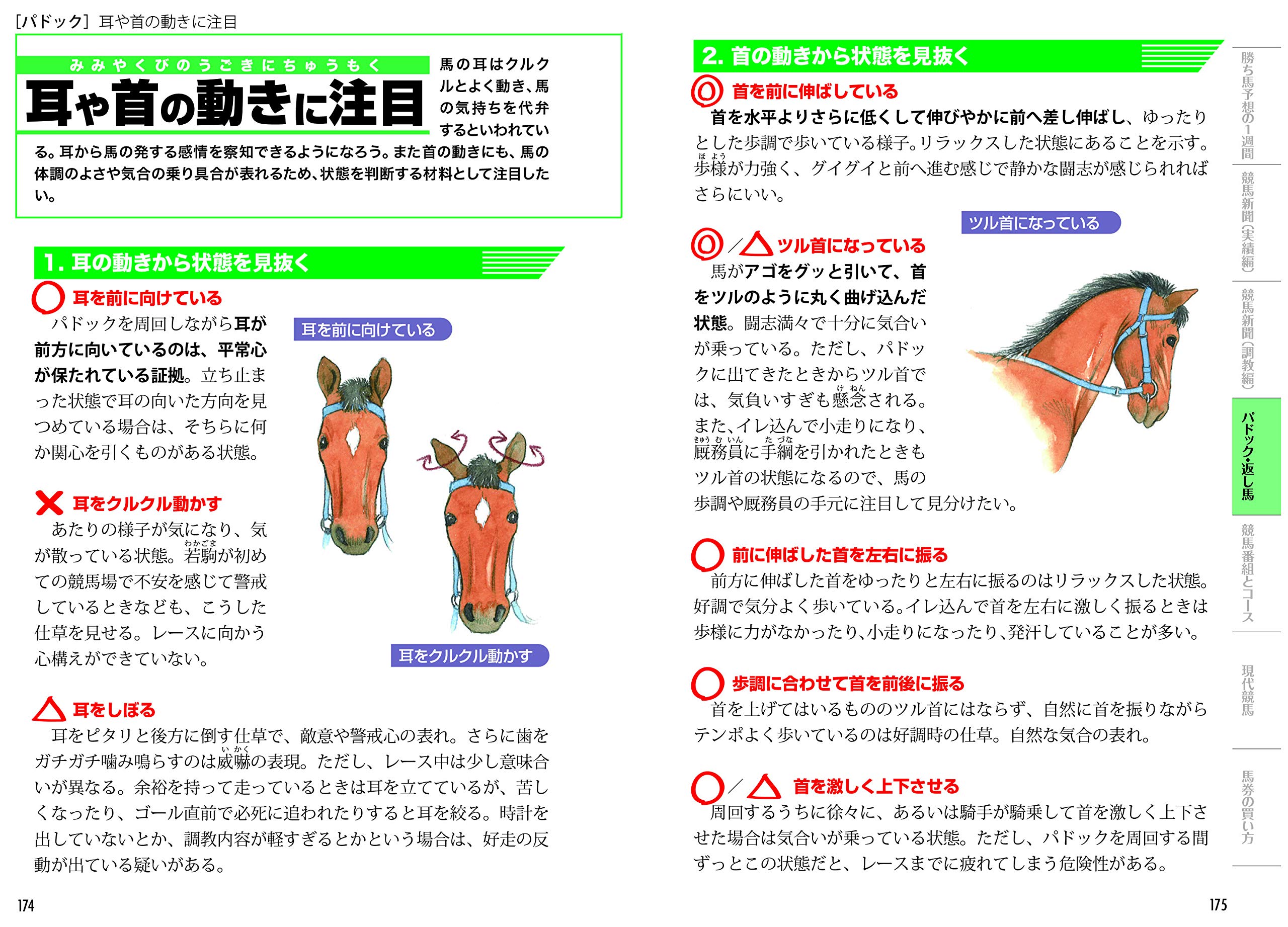 勝ち馬がわかる 競馬の教科書 改訂版 鈴木 和幸 本 通販 Amazon