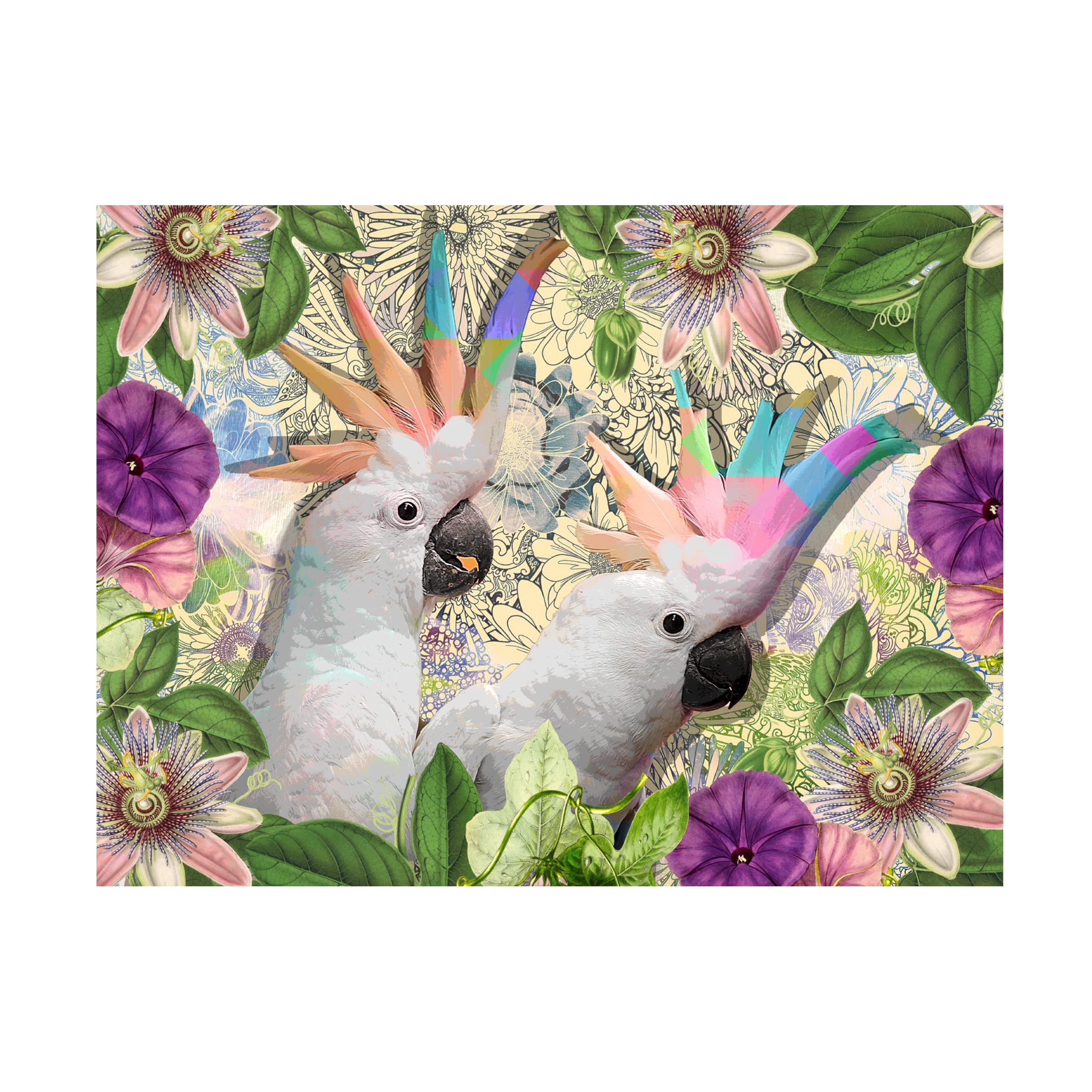 Trademark Fine Art 'Cockatiel Pastel Passion' Canvas Art by Delyth Angharad