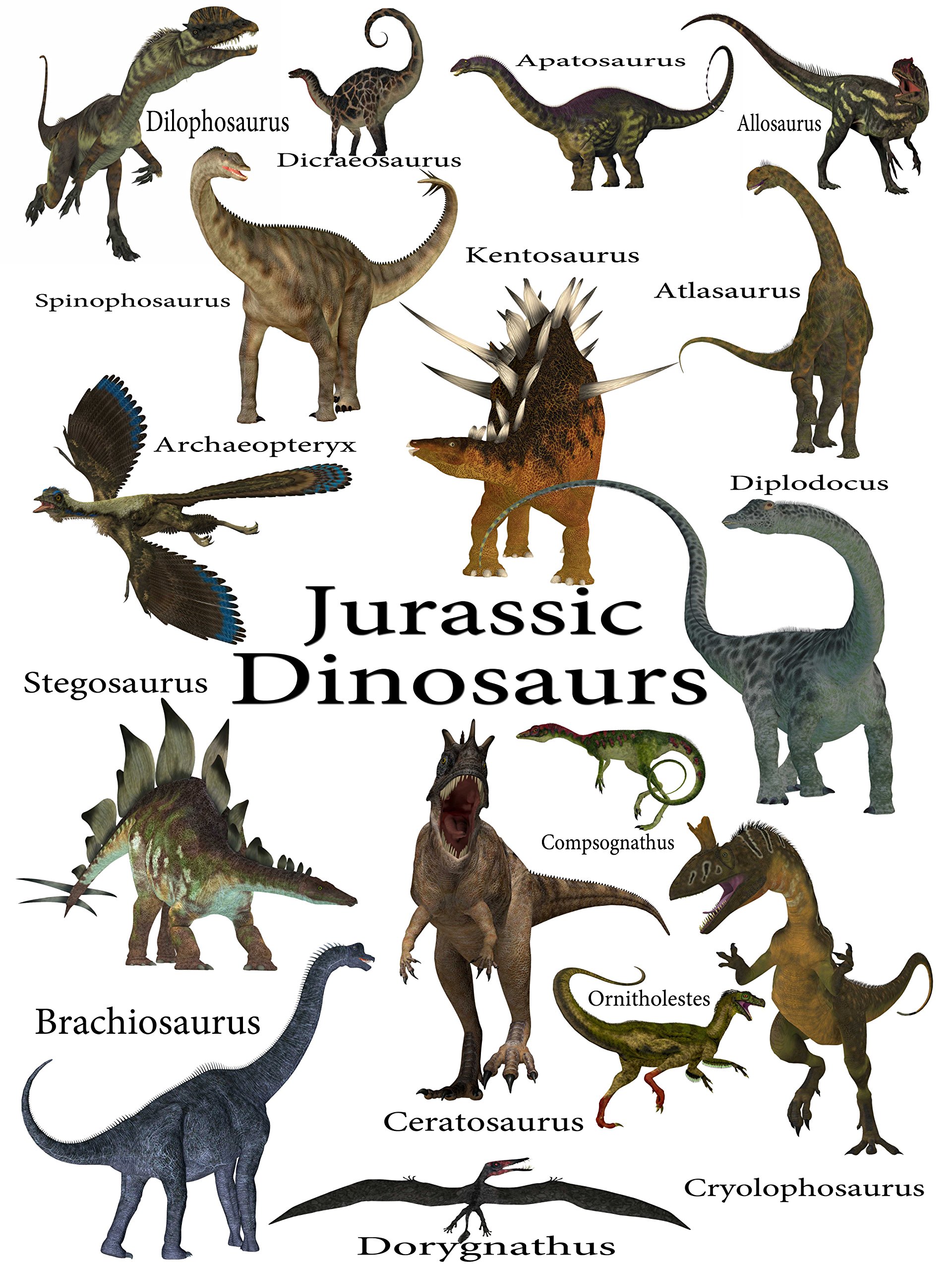 Dinosaur Poster (Fun Colorful Learning Tool for Kids on Hi Gloss 18 x 24 inch paper)