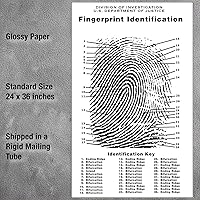 Vista 3 de Crime Scene Tabla de huellas dactilares, tamaño del póster 24 x 36 pulgadas