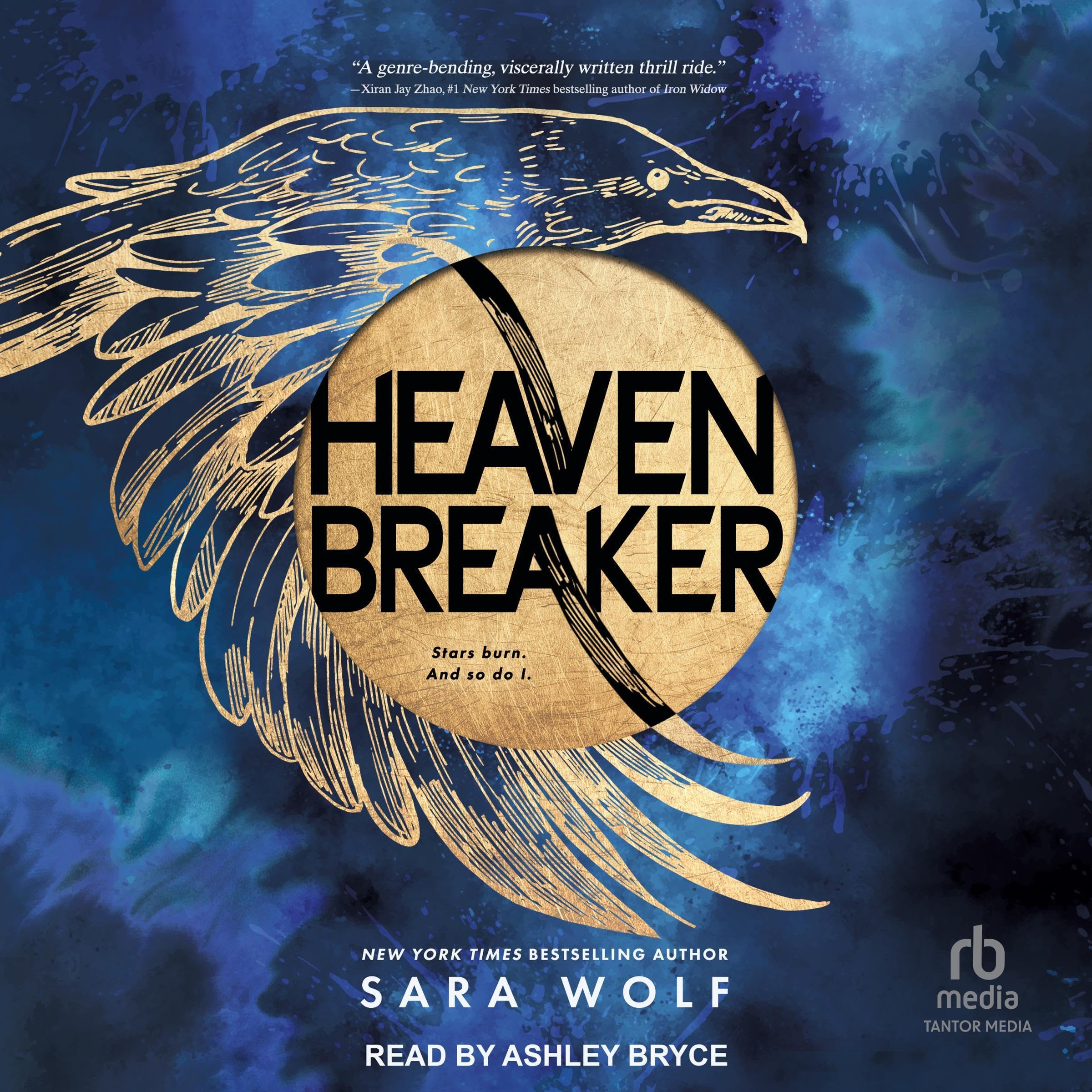 Heavenbreaker: Heavenbreaker, Book 1
