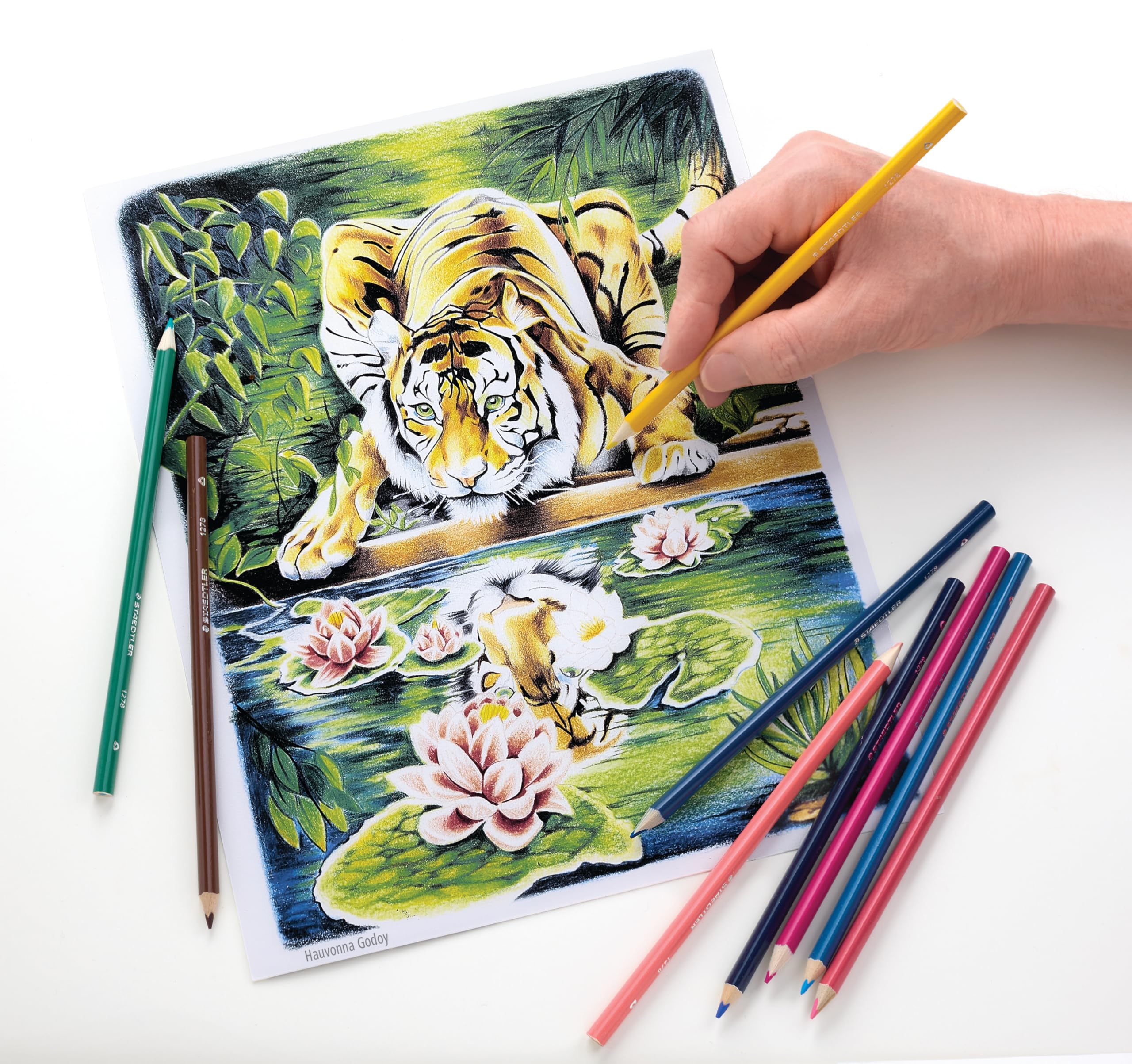 Amazon | STAEDTLER 色鉛筆セット (72本パック) - 人間工学に基づいた