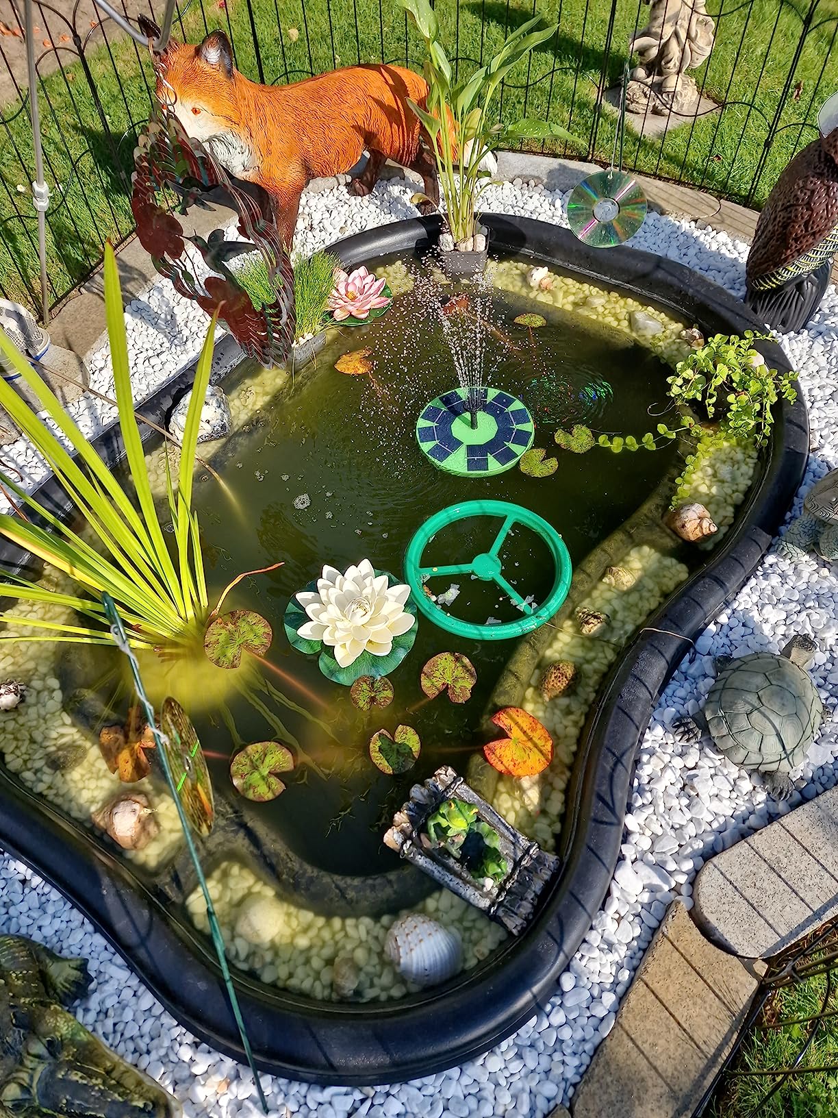 Pontec PondoFeed Ring Futterring in grün Amazon.de Haustier