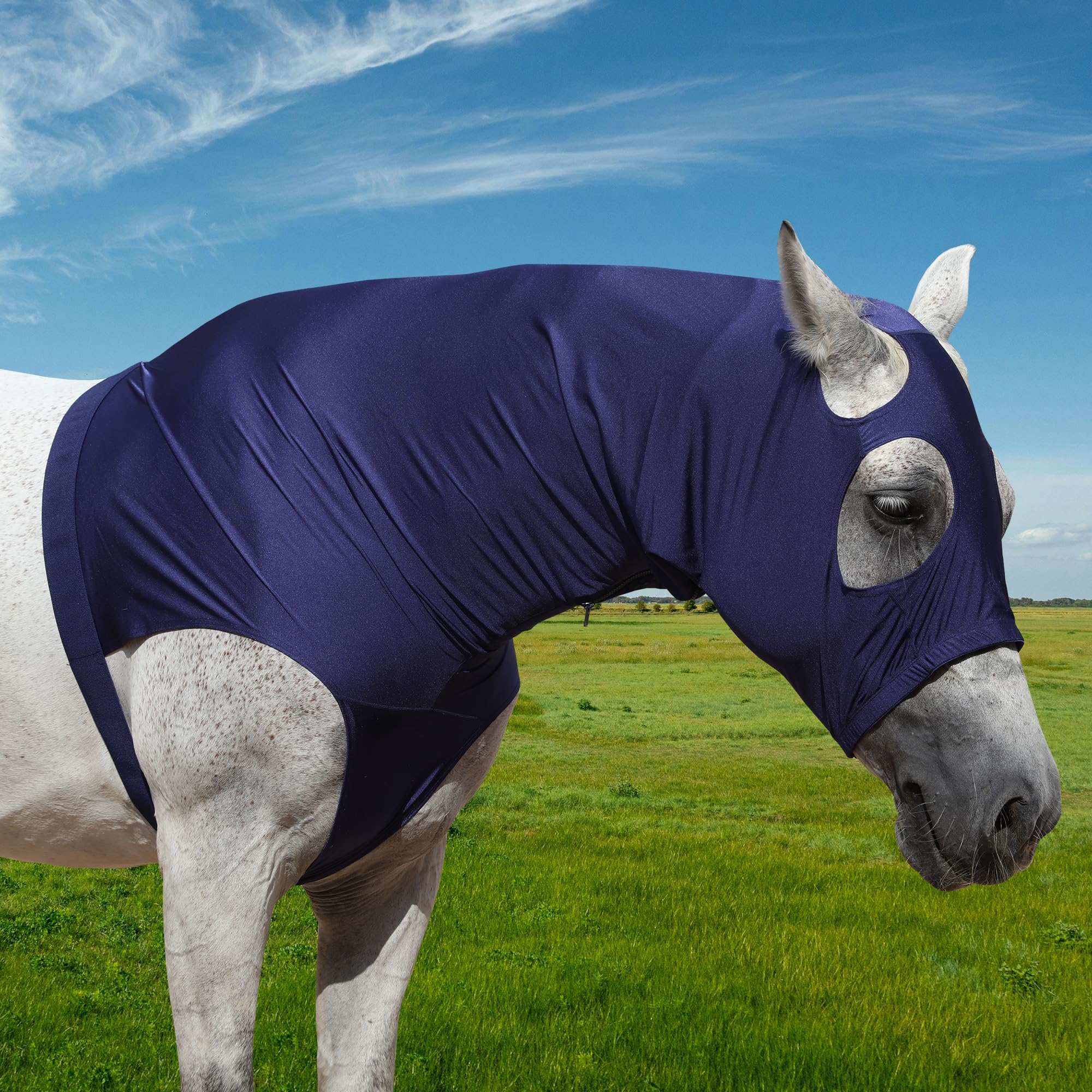Leberna Hood cavallo lycra elasticizzata con zip - copertura del collo pieno volto XL Blu marino