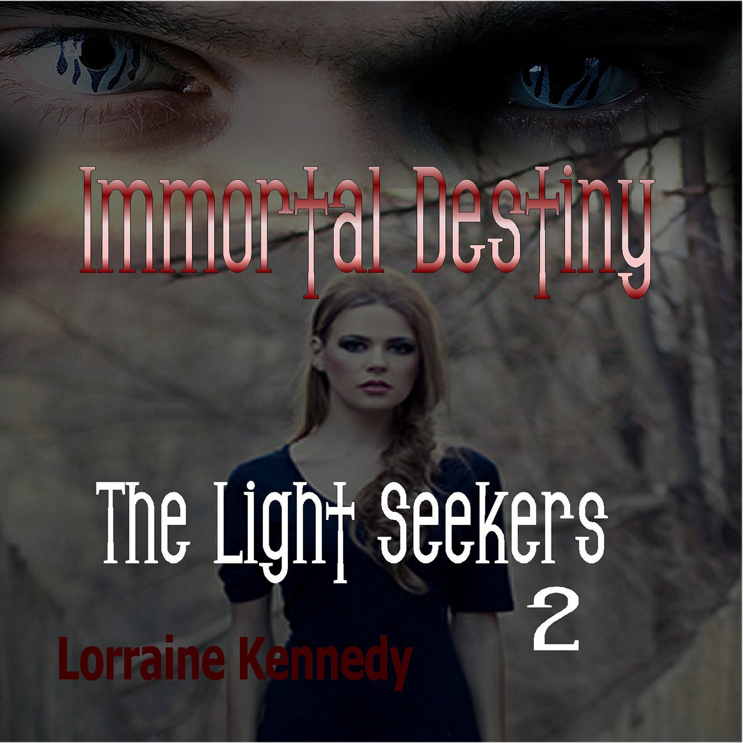 Cover art for The Light Seekers