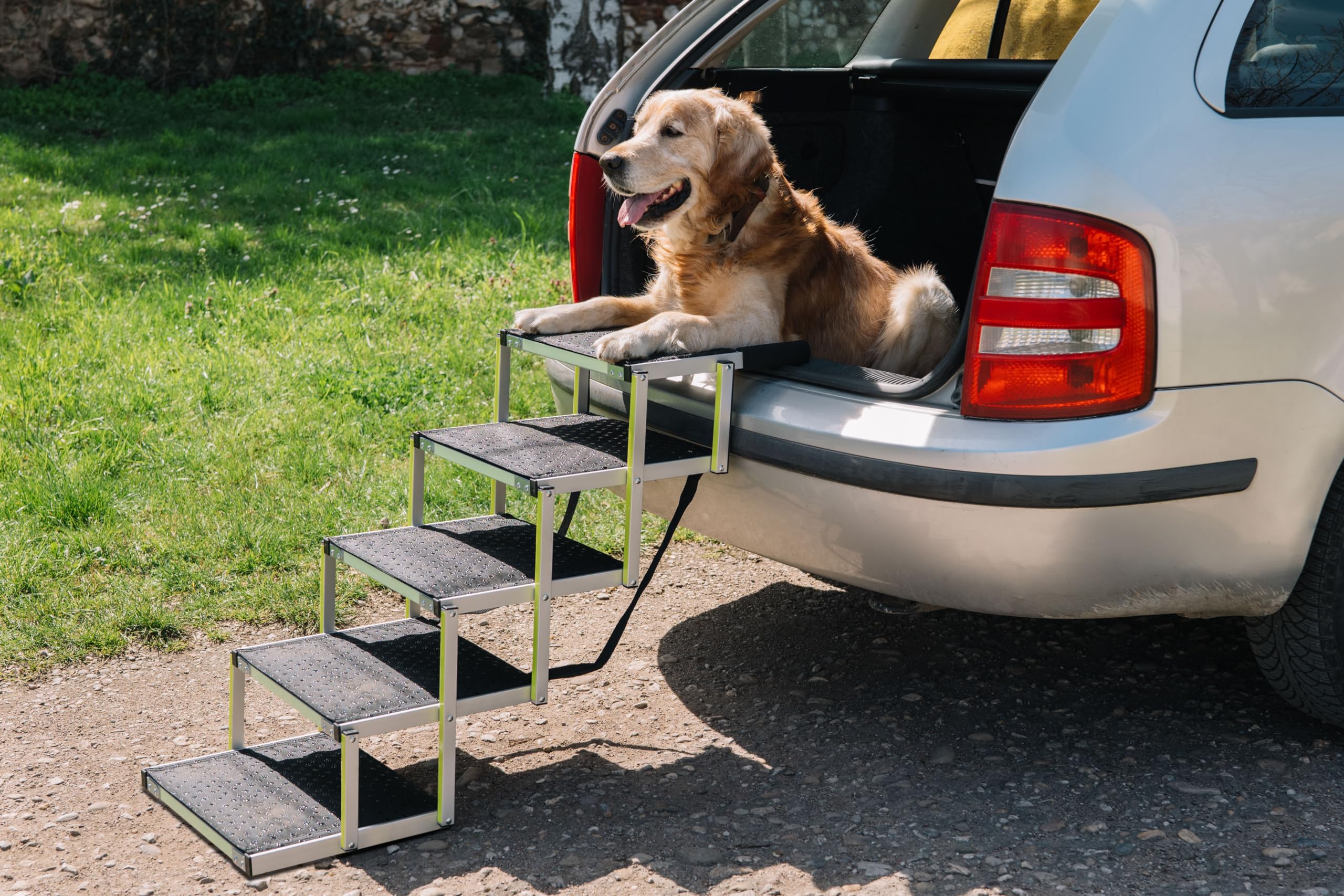 Escaleras para Perros Pequeños o Grandes PRIORPET - Marca Que Brilla en la Oscuridad - Rampa de Coche Plegable - Adecuada para Todos los Coches - Superficie Antideslizante - 5 Escalones