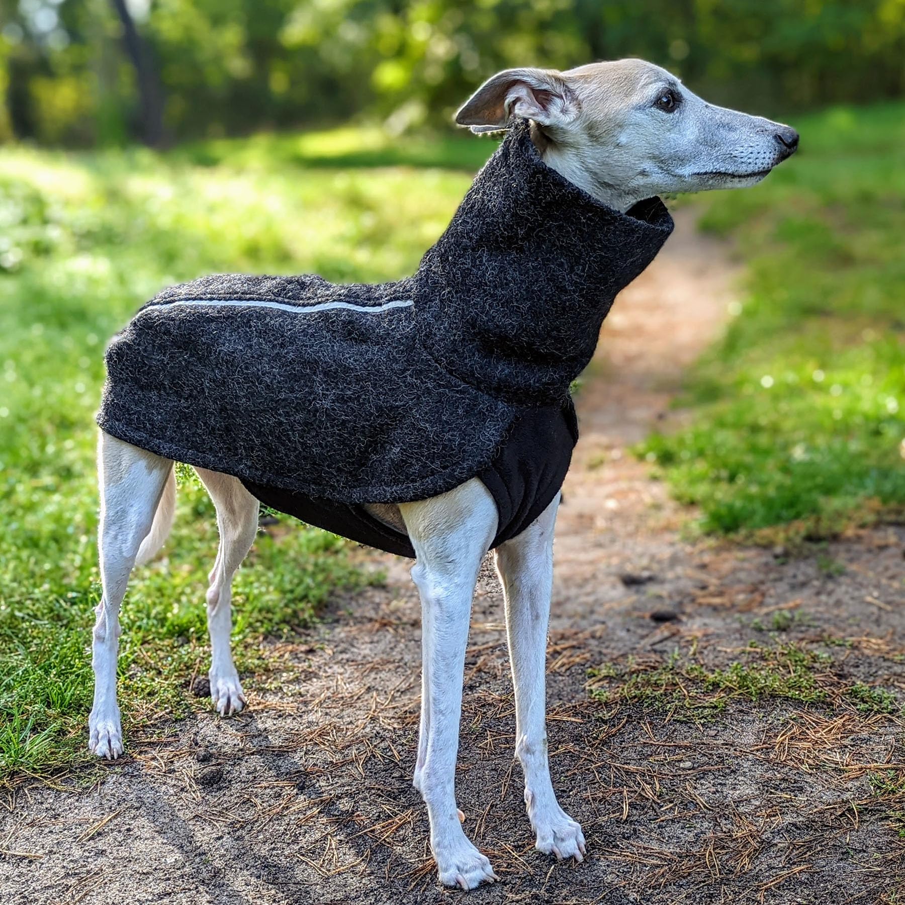 EDEL&SCHNELL Hundemantel wasserdicht, Woll-Wintermantel für Ridgebacks, Dalmatiner, Weimaraner und andere schlanke Rassen, Hunde Wintermantel Größe 65-70