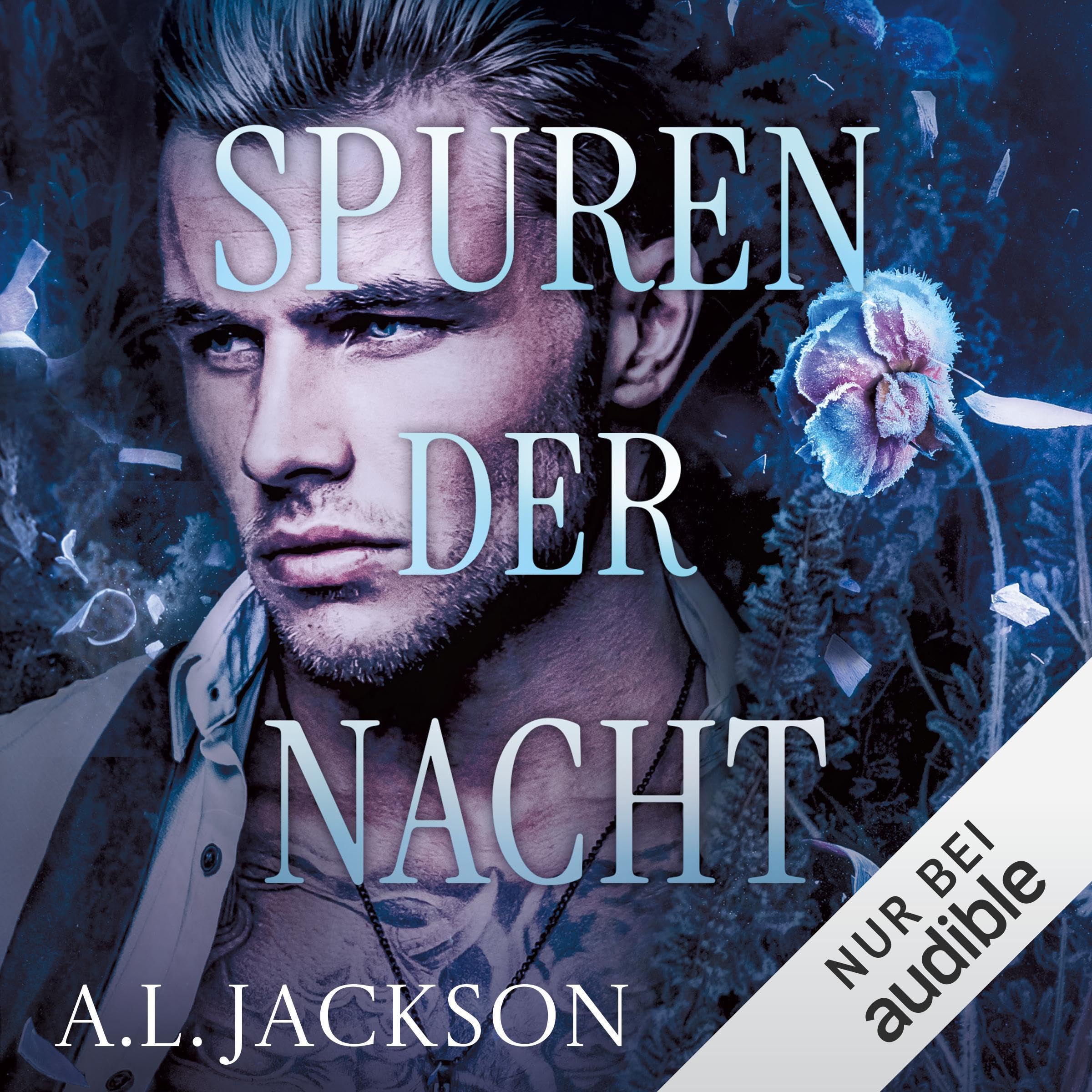 Cover art for Spuren der Nacht